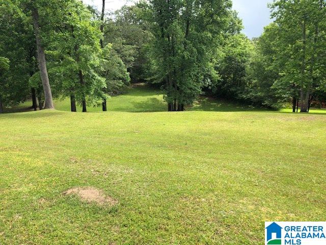 5045 Hollis Goodwin Road Dora, AL 35062 - Photo 38 of 38
