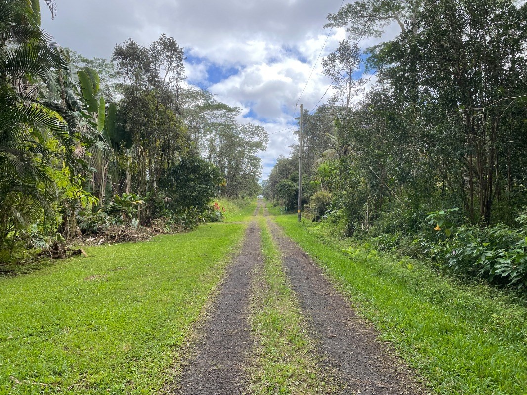 293 Paradise Road Pahoa, HI 96778 - Photo 5 of 5 Gallery Image 5