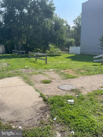 a view of a park with large trees