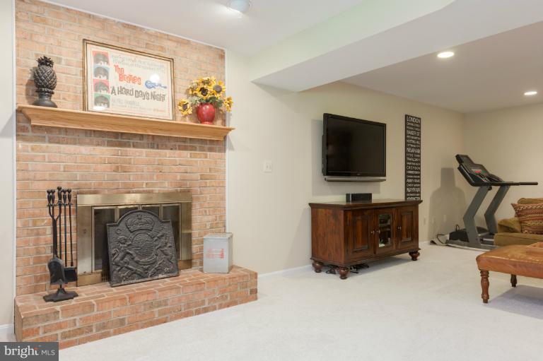 10513 Adel Road Oakton, VA 22124 - Photo 1 of 30 Basement