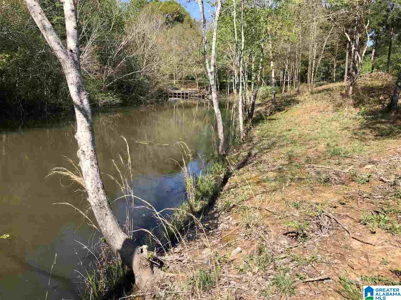 Carleton Point, Unit 13 Wilsonville, AL 35186 - Photo 3 of 9