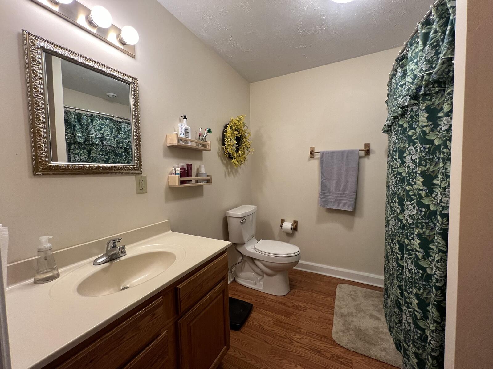 11638 Pierce Road Canadian Lakes, MI 49346 - Photo 14 of 32 14 Main Level Bath