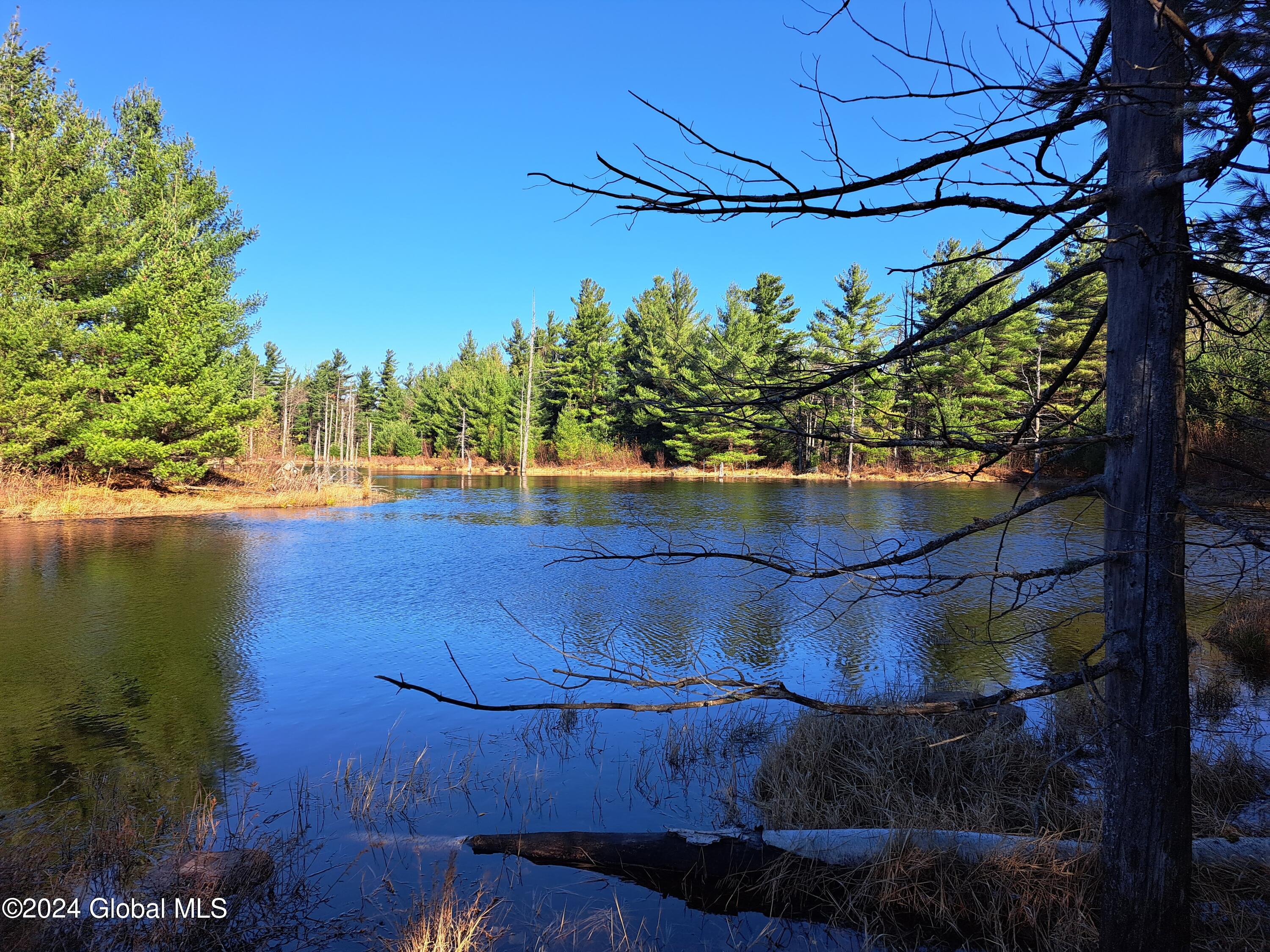 L1.4 Drown Road Ellenburg Depot, NY 12935 - Photo 21 of 89 22 Beaver Pond
