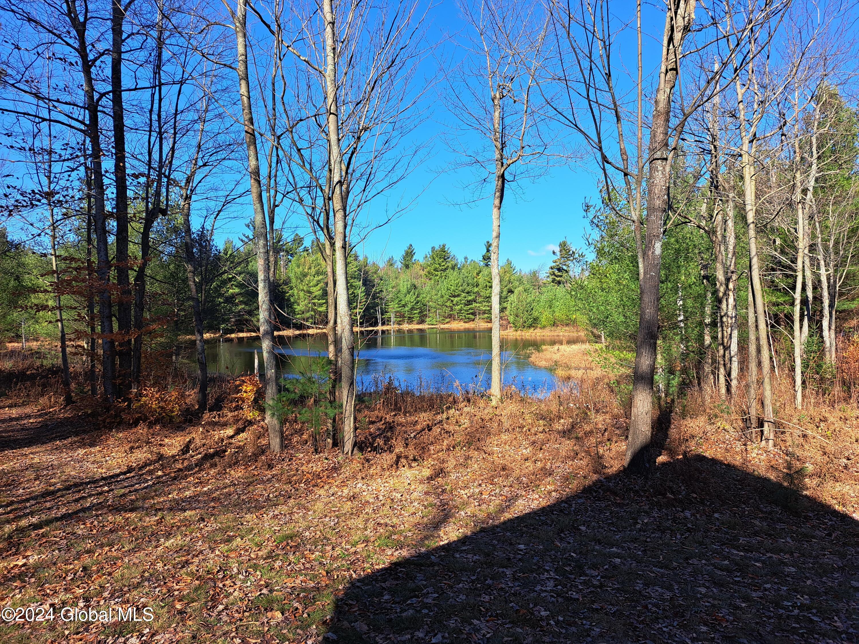 L1.4 Drown Road Ellenburg Depot, NY 12935 - Photo 22 of 89 23 Beaver Pond from Porch