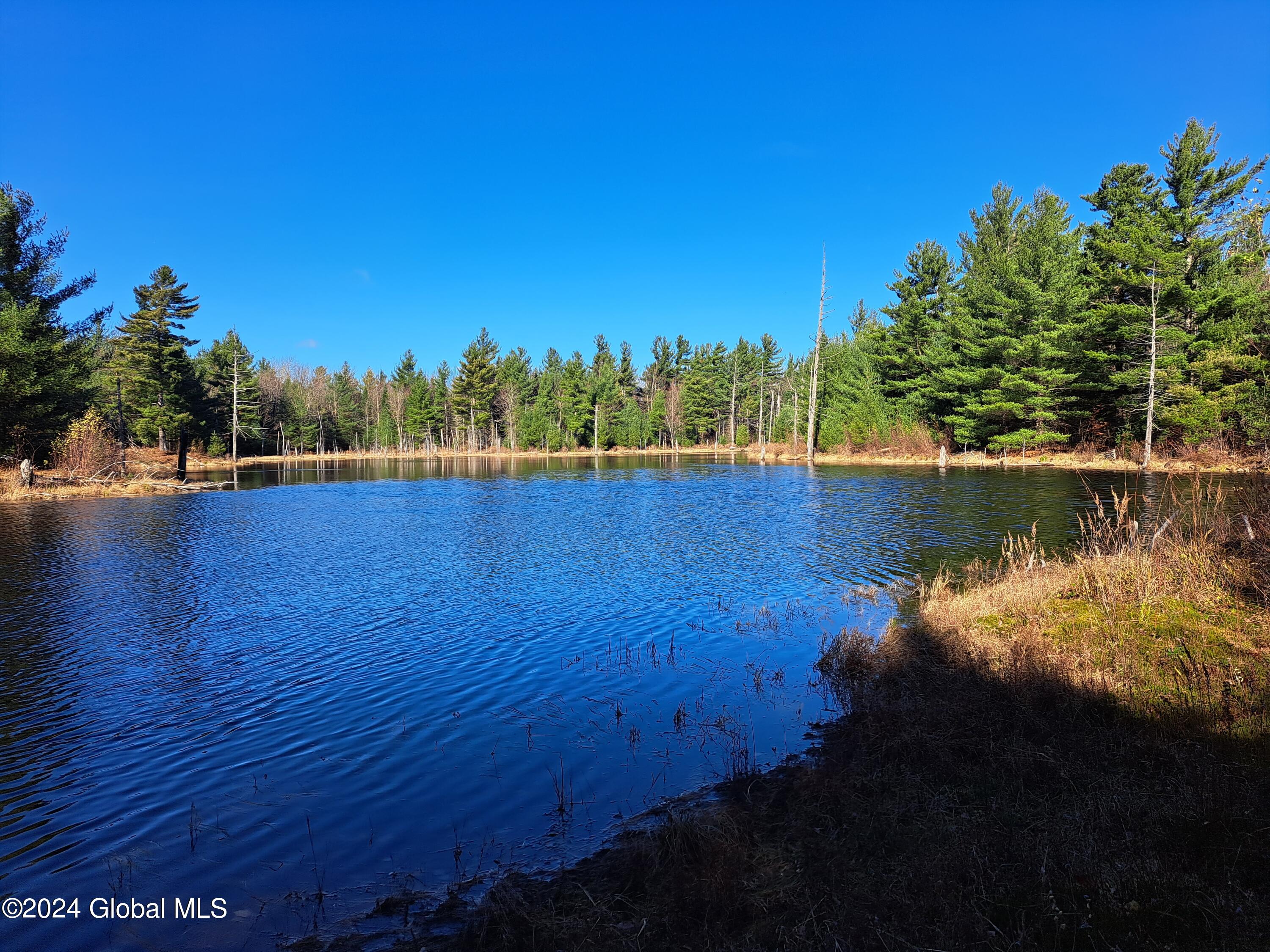 L1.4 Drown Road Ellenburg Depot, NY 12935 - Photo 23 of 89 24 Beaver Pond