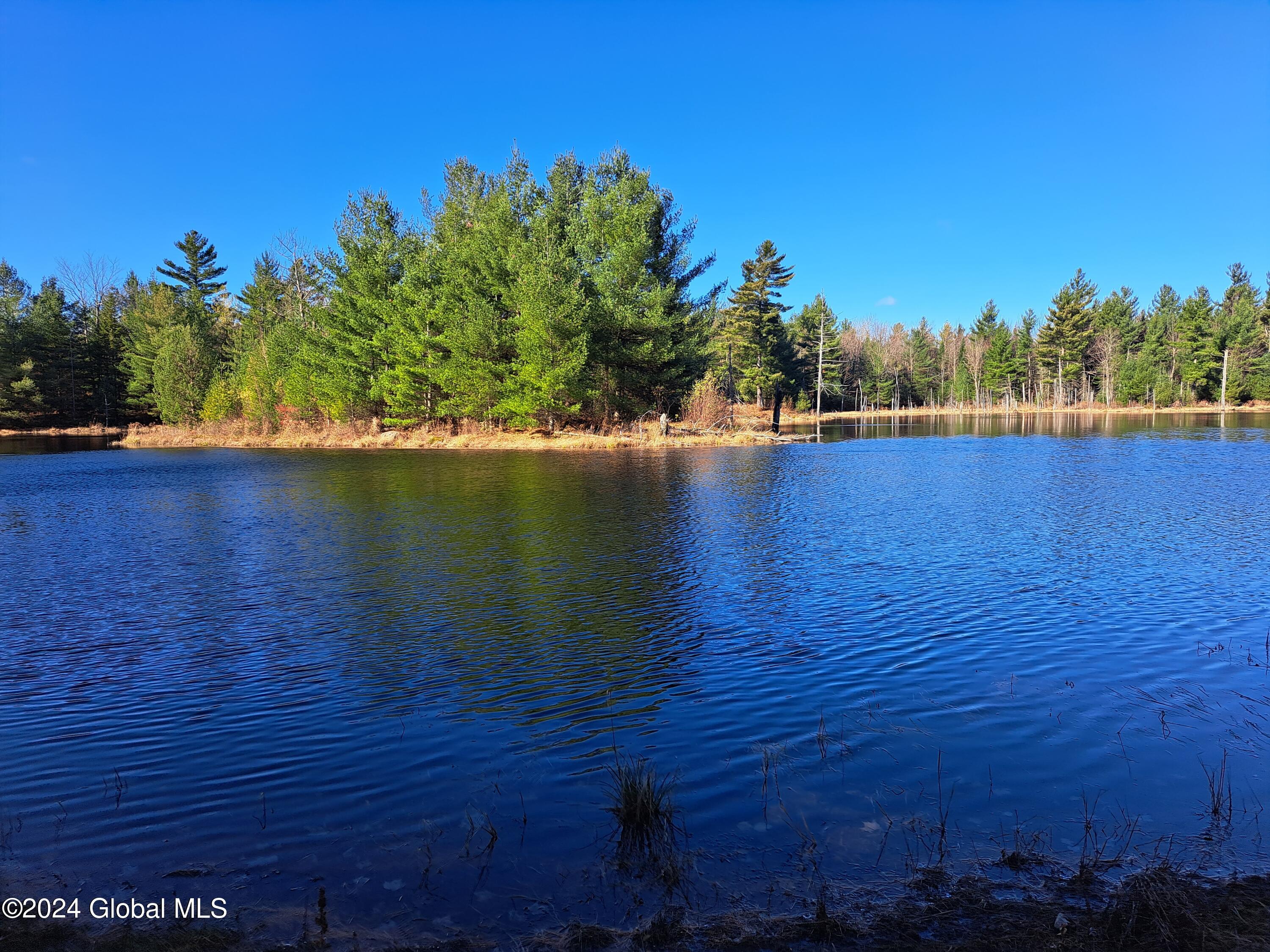 L1.4 Drown Road Ellenburg Depot, NY 12935 - Photo 24 of 89 25 Lonely Island in Pond