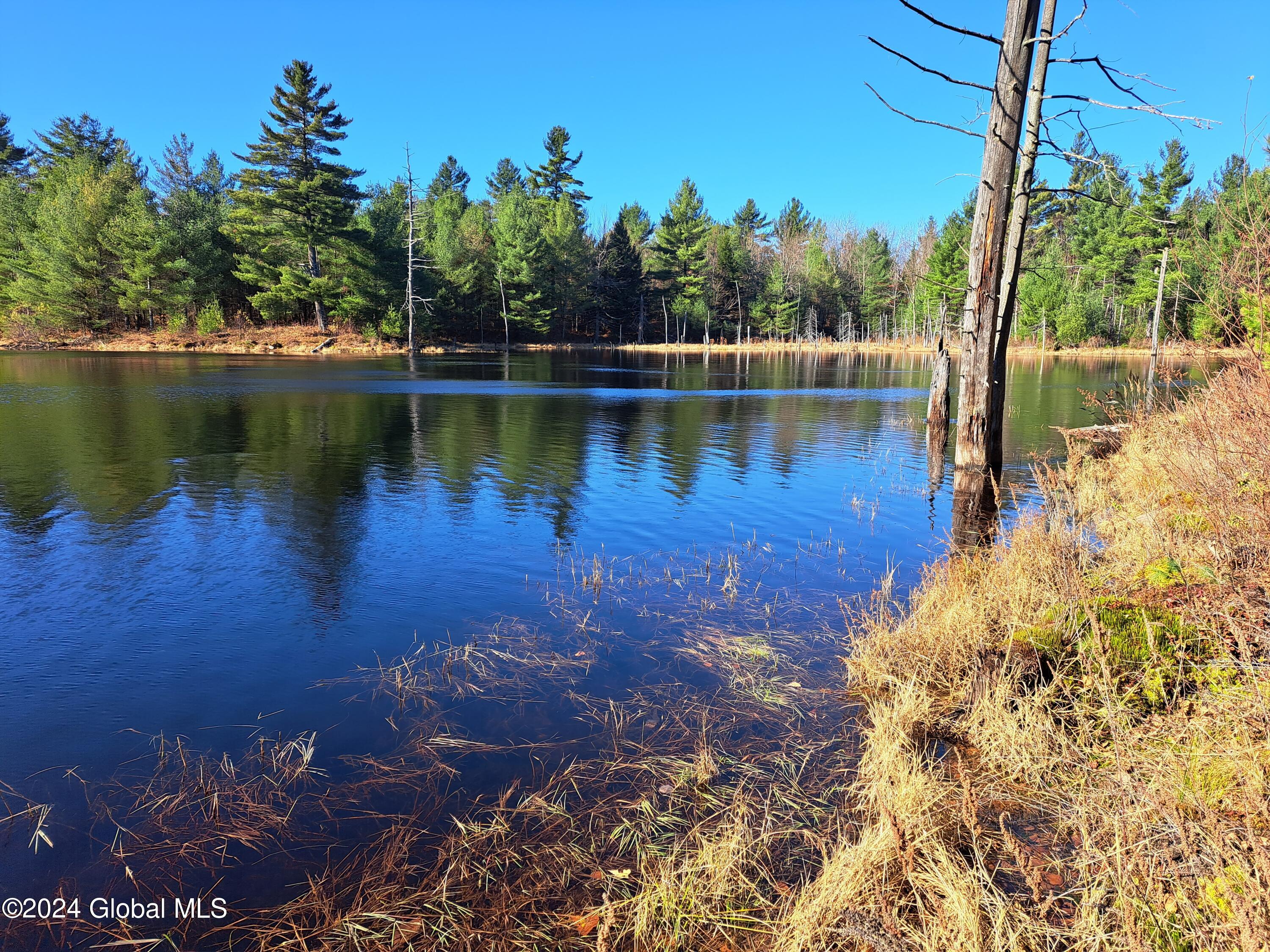 L1.4 Drown Road Ellenburg Depot, NY 12935 - Photo 26 of 89 27 Fall Sky