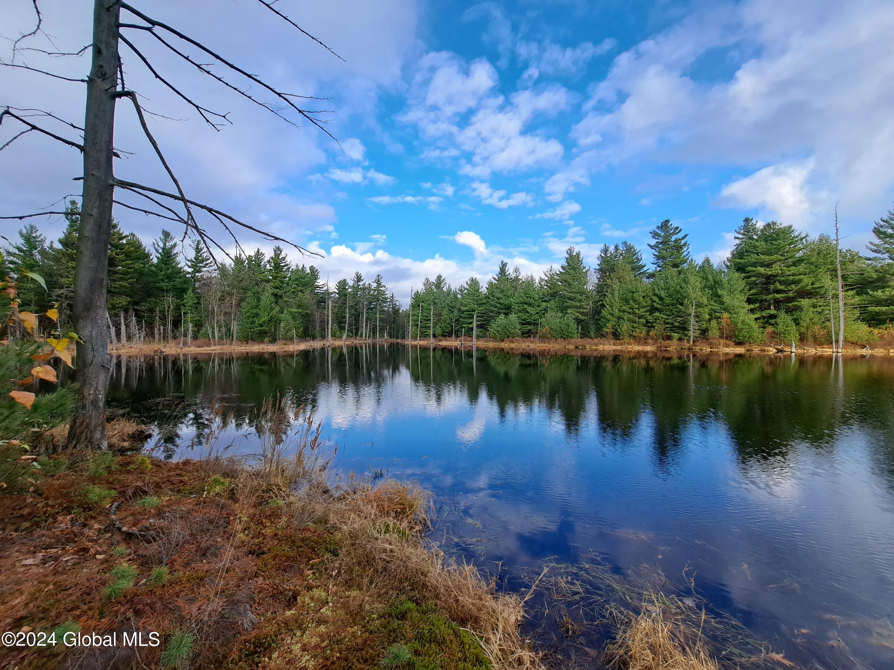 L1.4 Drown Road Ellenburg Depot, NY 12935 - Photo 27 of 89 28 Softwoods on Opposite Shore