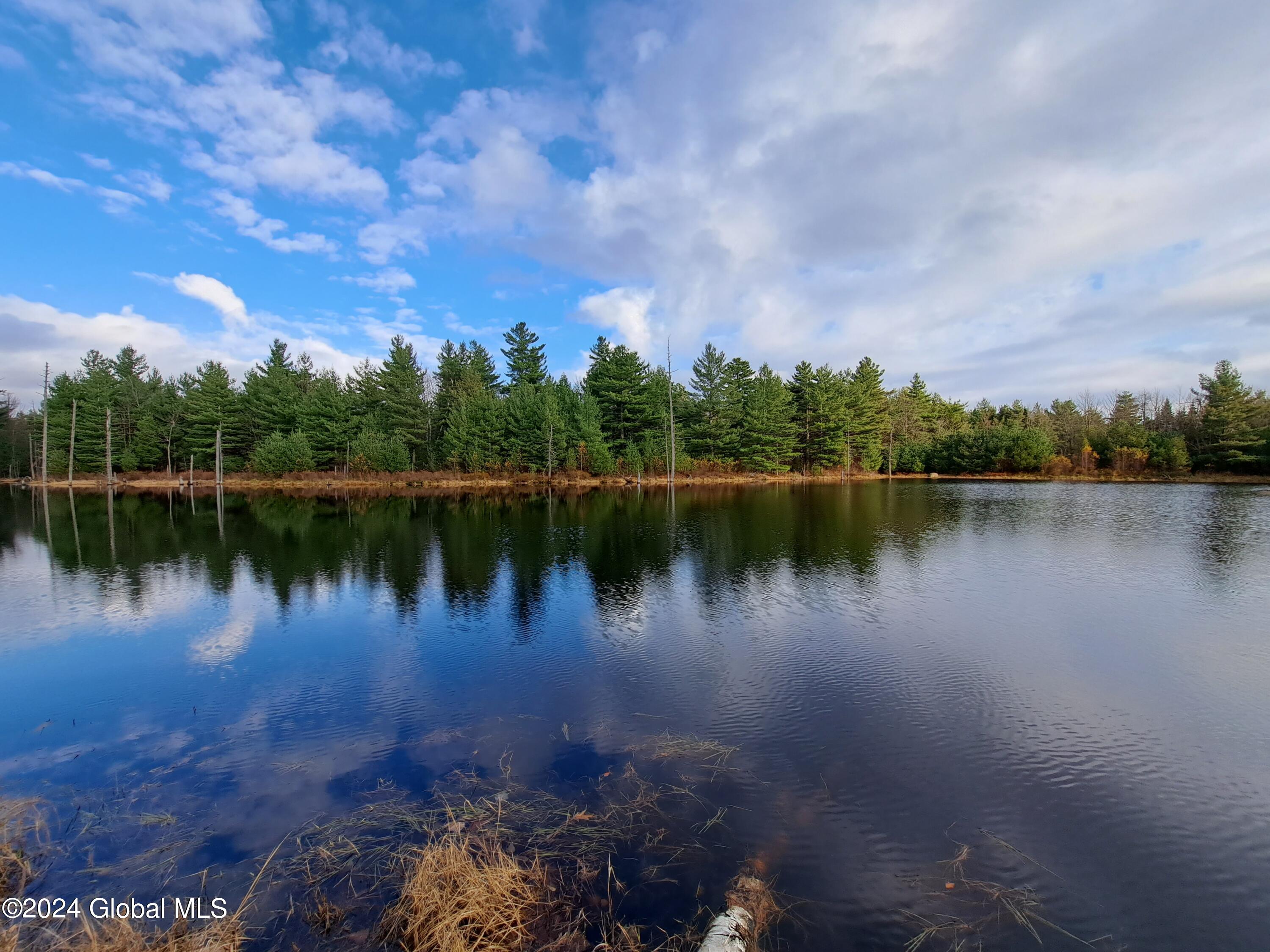 L1.4 Drown Road Ellenburg Depot, NY 12935 - Photo 28 of 89 29 Still as Glass
