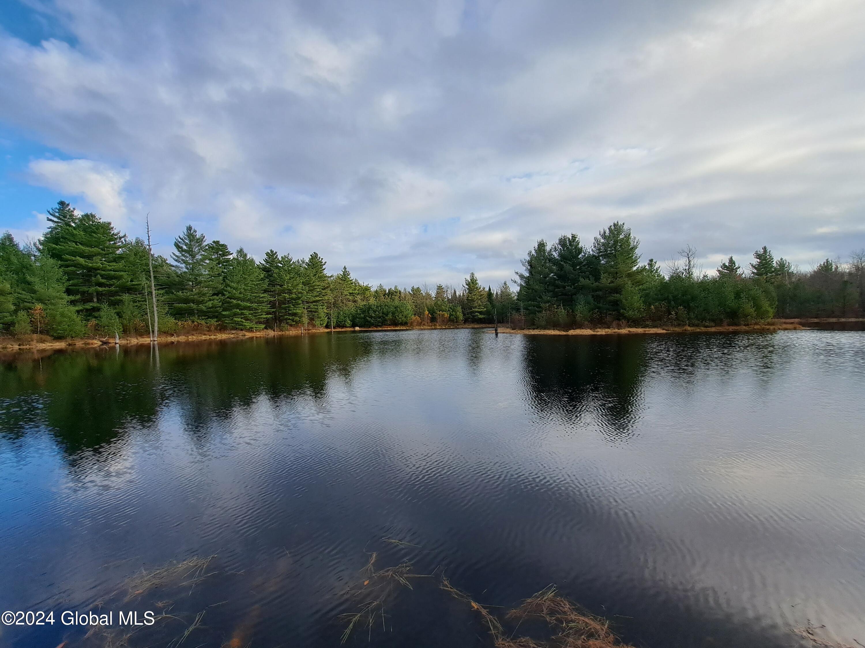 L1.4 Drown Road Ellenburg Depot, NY 12935 - Photo 29 of 89 30 Looking North