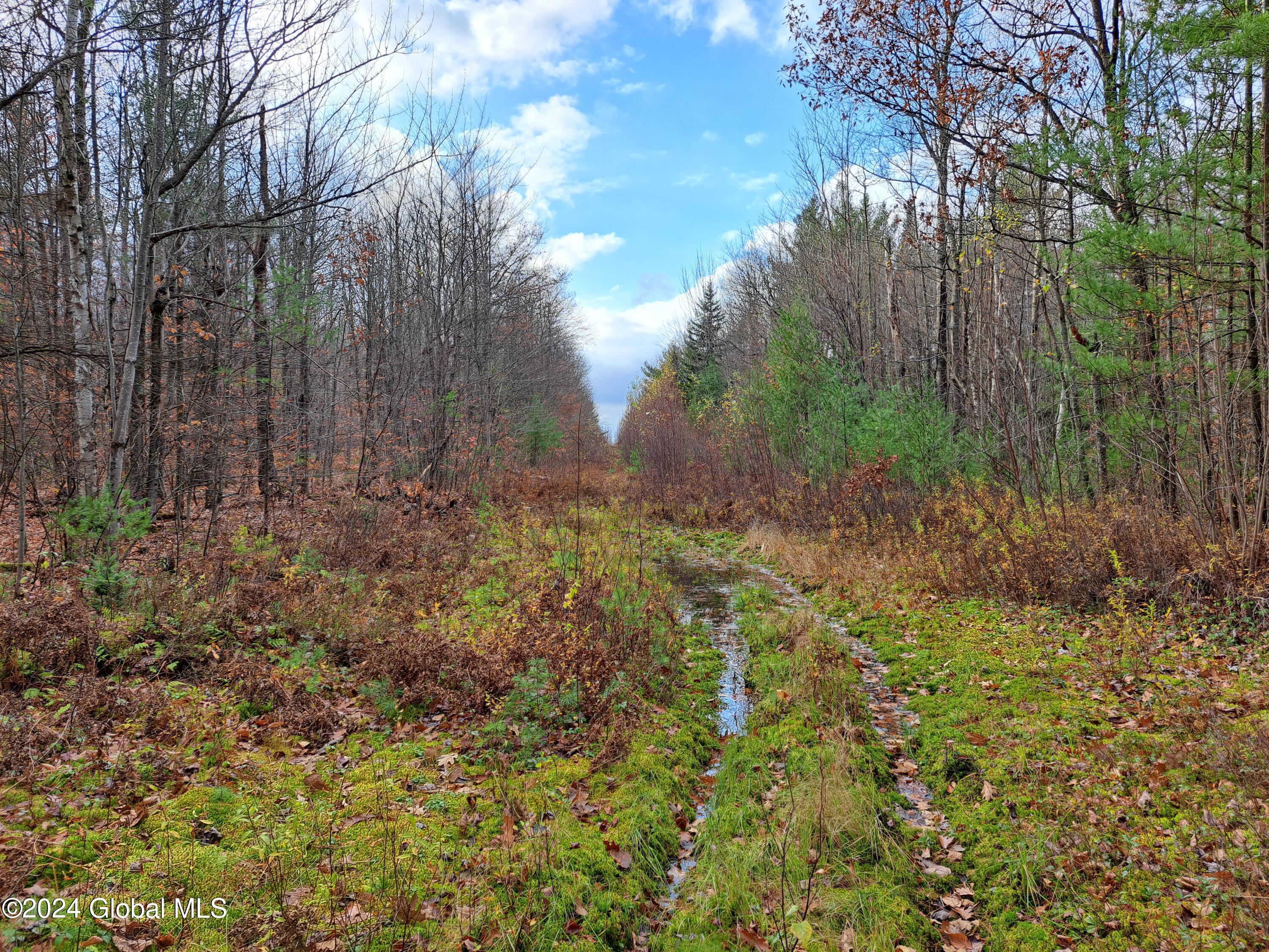 L1.4 Drown Road Ellenburg Depot, NY 12935 - Photo 31 of 89 32 International Border West