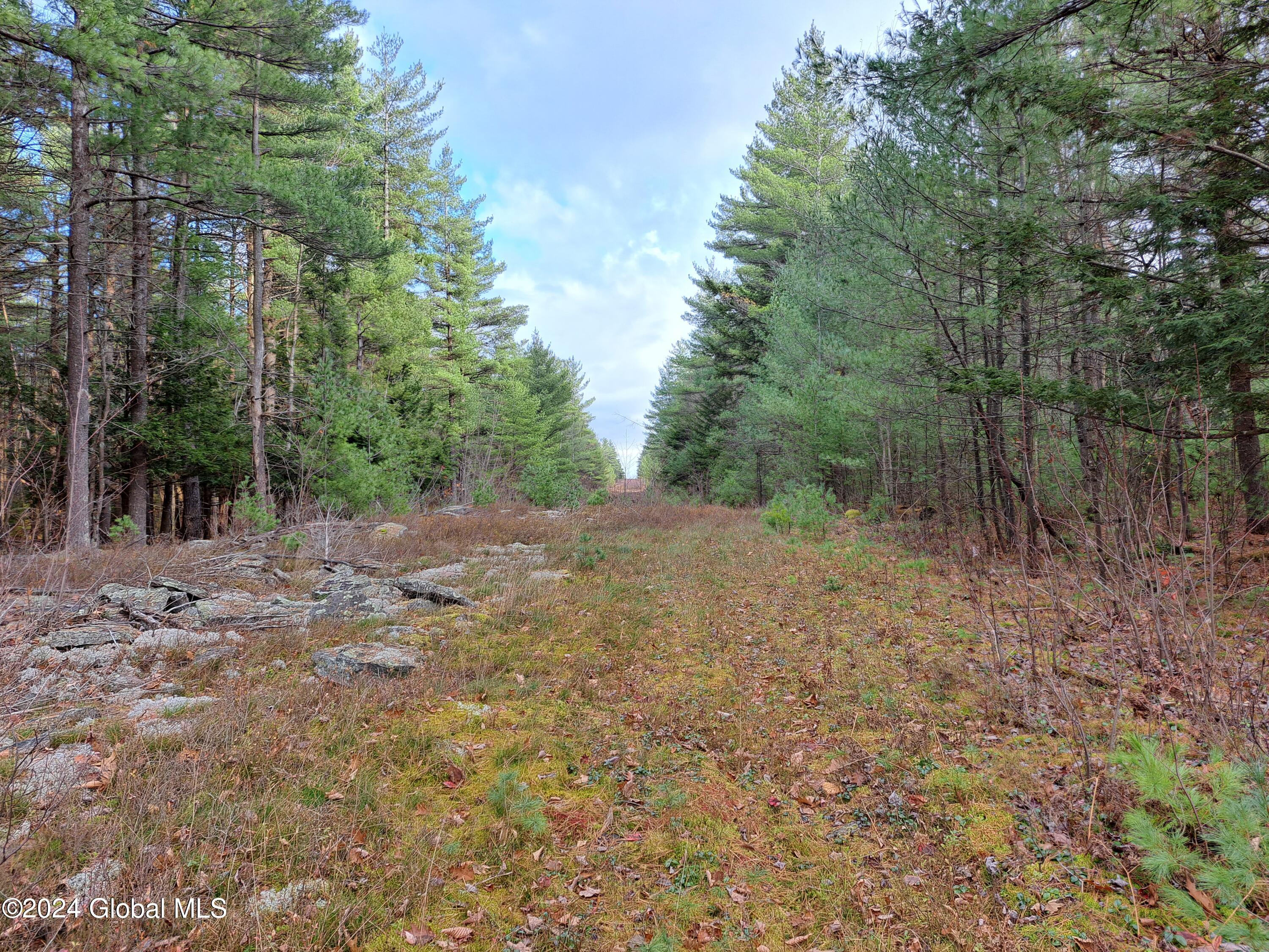 L1.4 Drown Road Ellenburg Depot, NY 12935 - Photo 32 of 89 33 International Border East