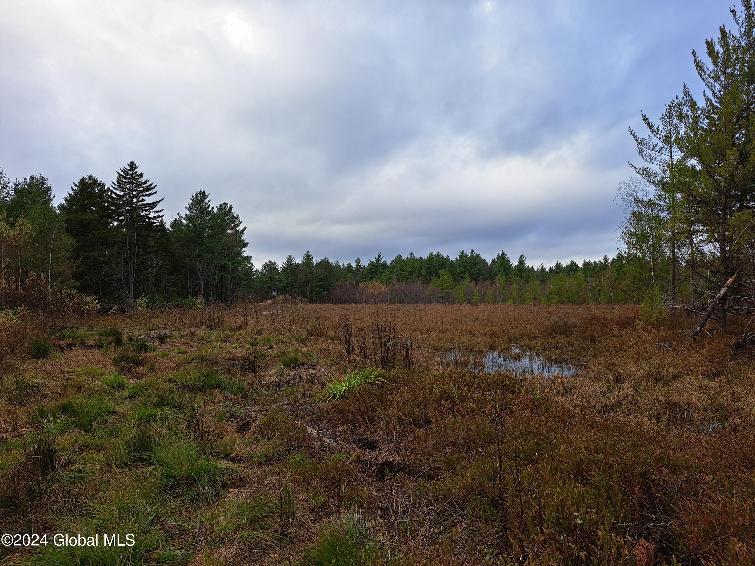 L1.4 Drown Road Ellenburg Depot, NY 12935 - Photo 35 of 89 36 Part of Food Plot