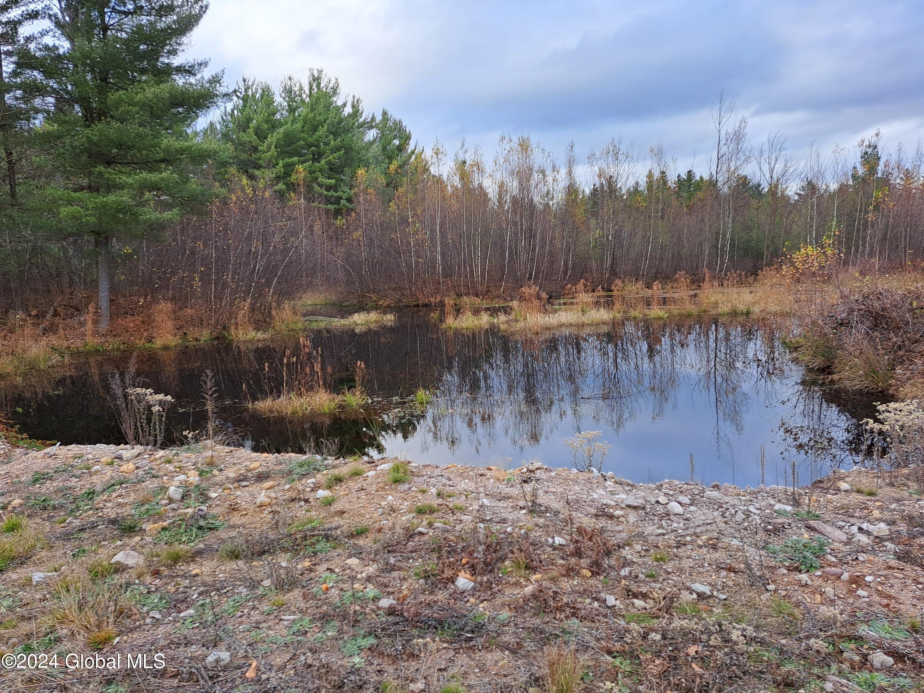 L1.4 Drown Road Ellenburg Depot, NY 12935 - Photo 36 of 89 37 Small Pond At Shooitng Blind