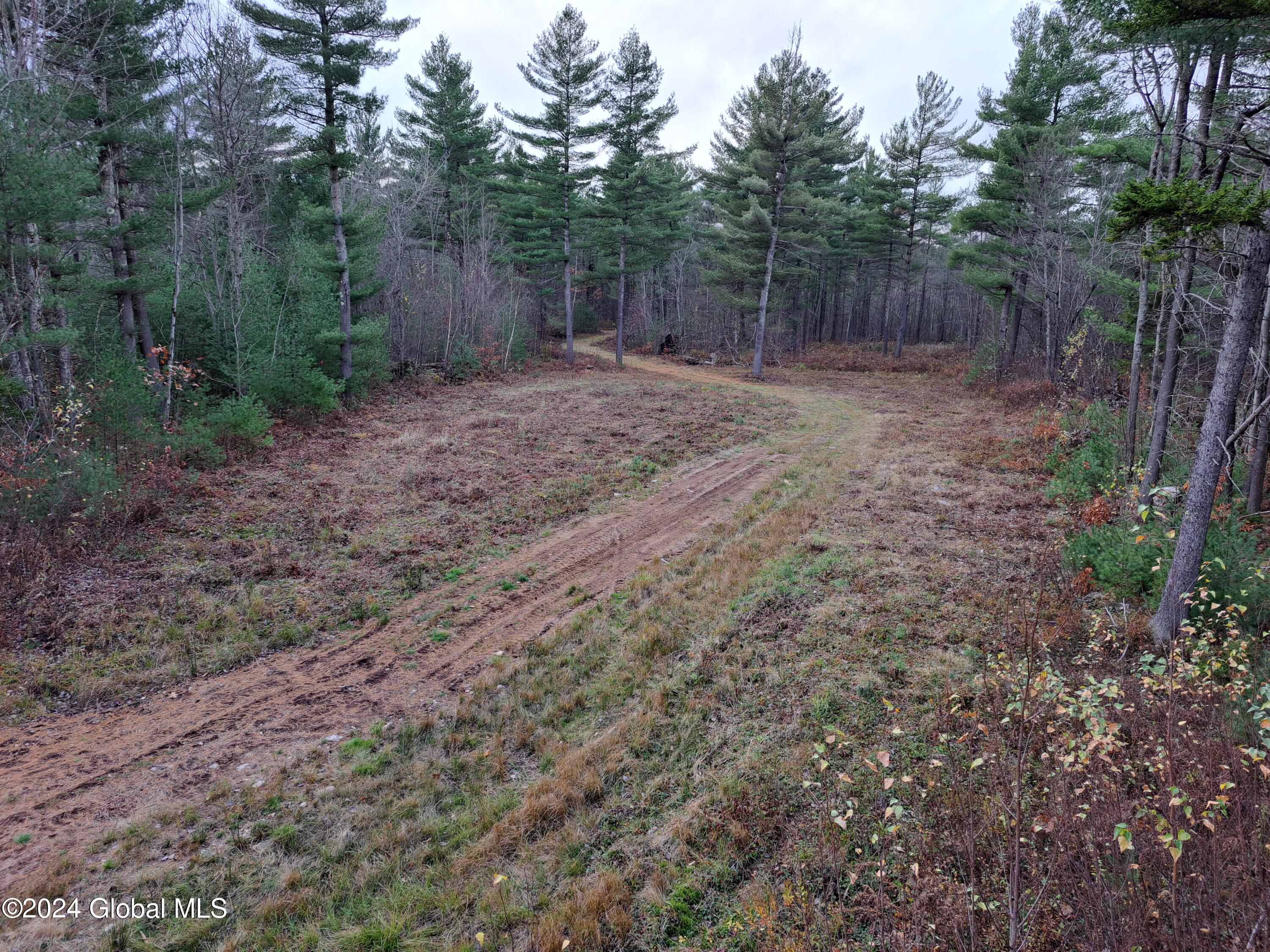 L1.4 Drown Road Ellenburg Depot, NY 12935 - Photo 39 of 89 40 View South From Blind