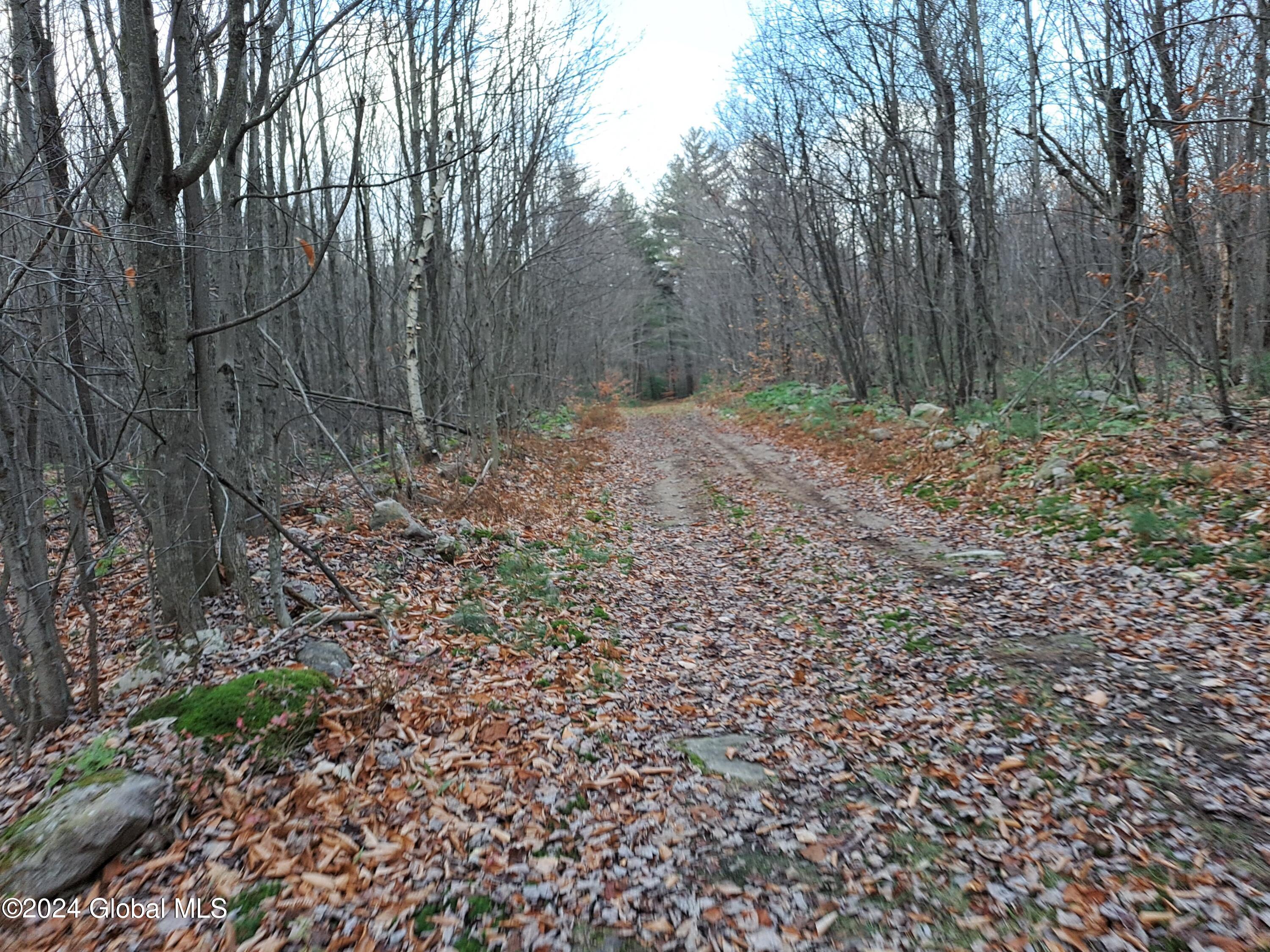 L1.4 Drown Road Ellenburg Depot, NY 12935 - Photo 41 of 89 42 Interior Woods Road