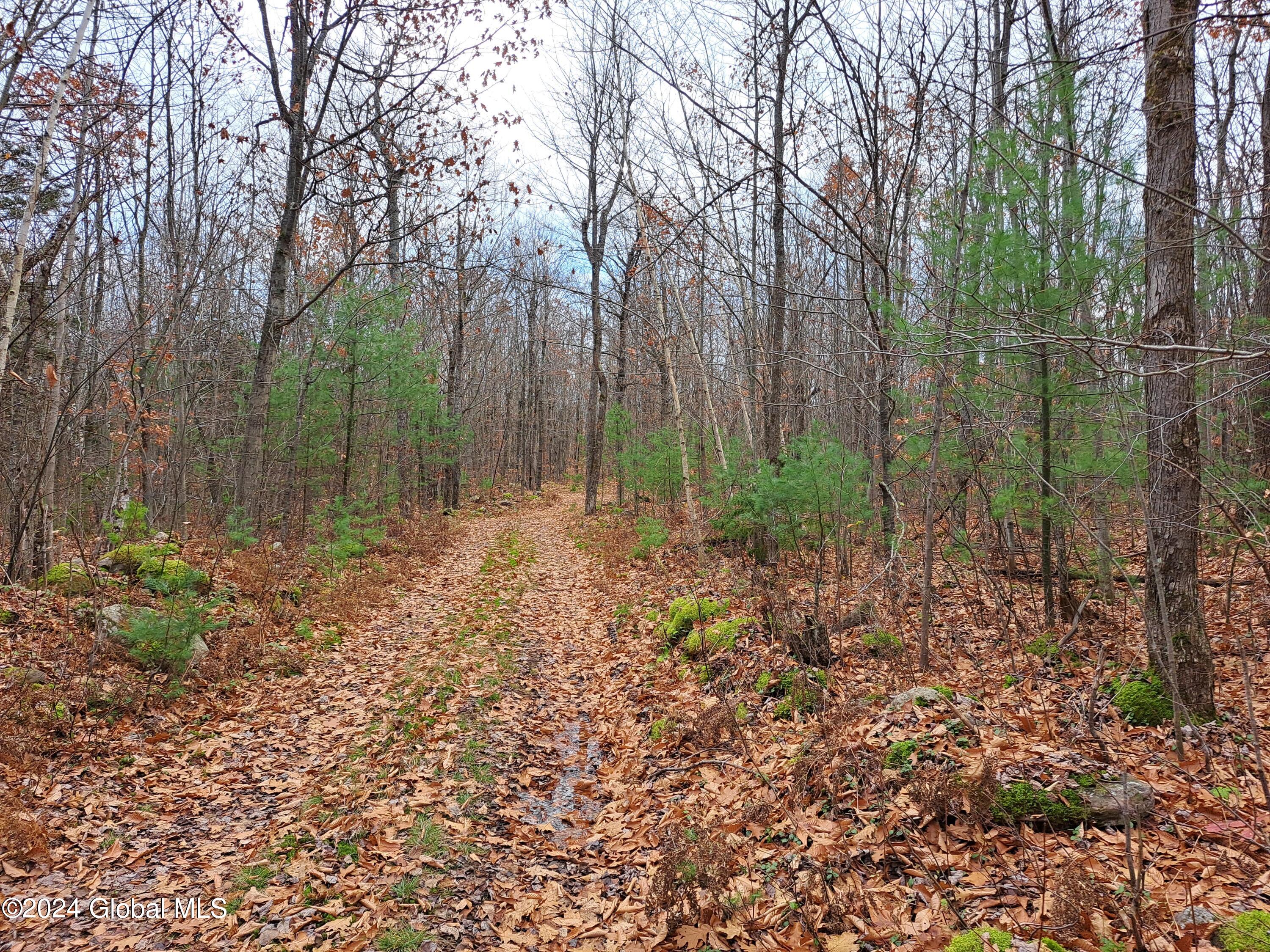 L1.4 Drown Road Ellenburg Depot, NY 12935 - Photo 42 of 89 43 Interior Woods road
