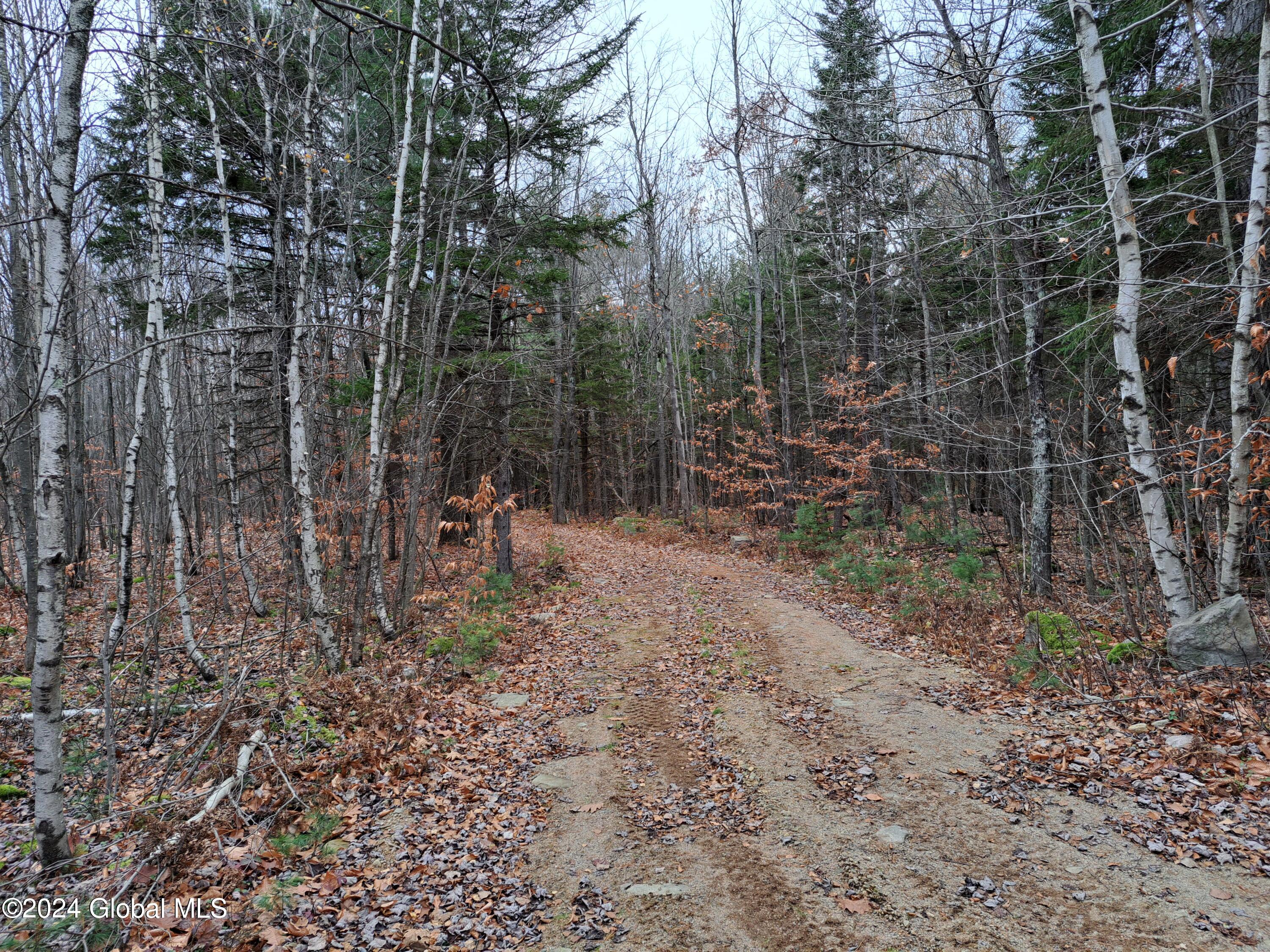 L1.4 Drown Road Ellenburg Depot, NY 12935 - Photo 44 of 89 45 Woods Road