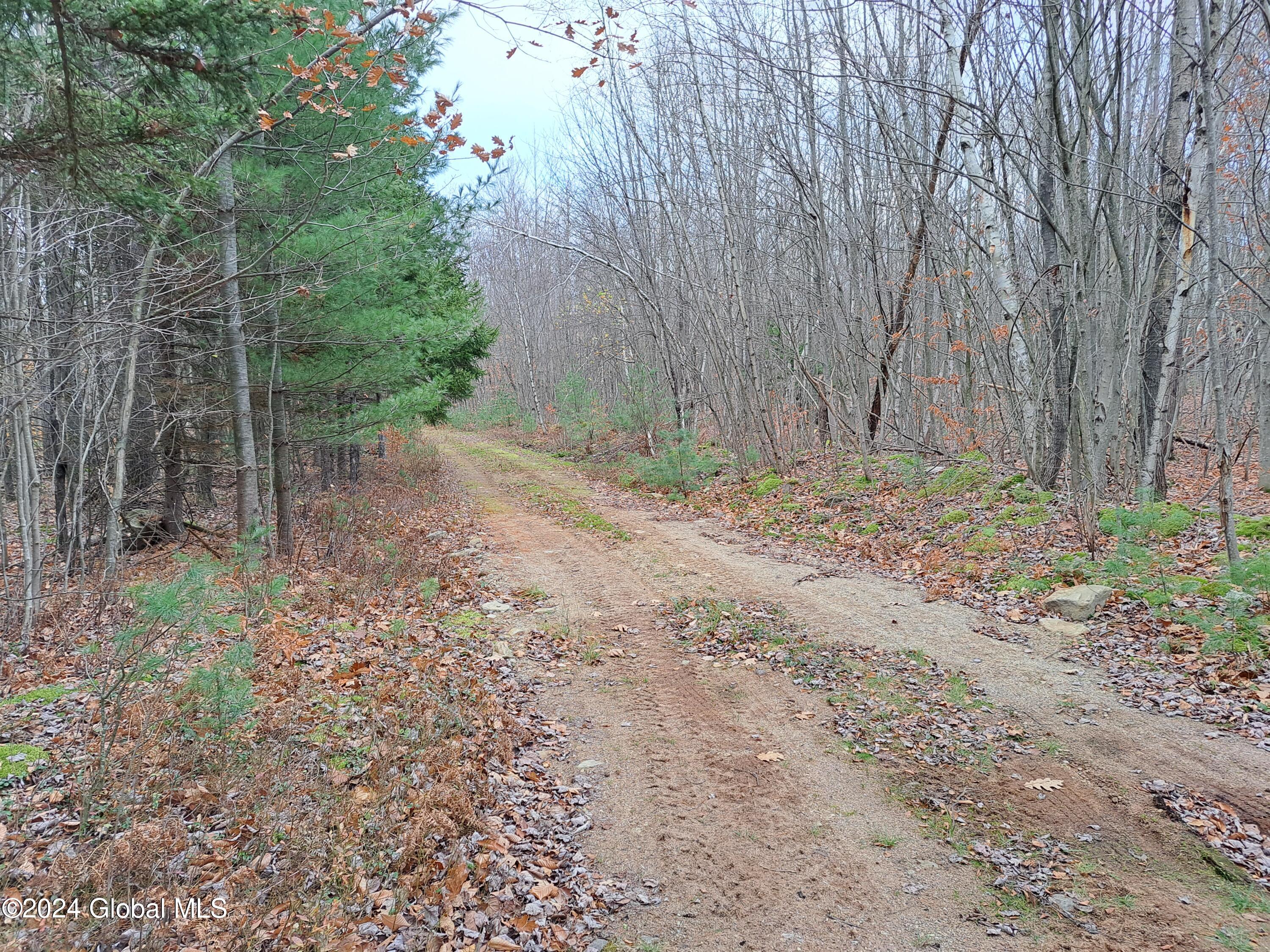 L1.4 Drown Road Ellenburg Depot, NY 12935 - Photo 45 of 89 46 Woods Road