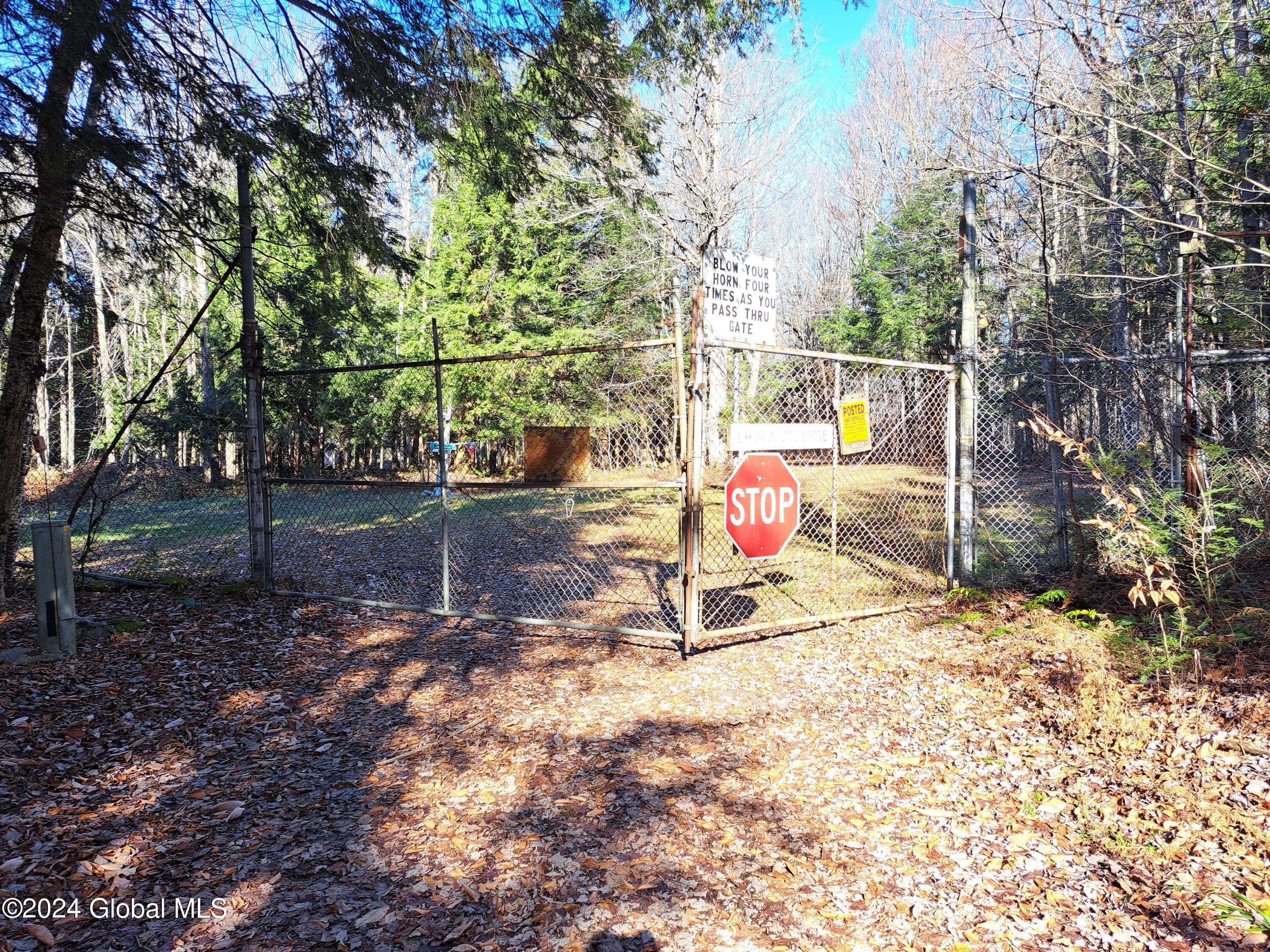L1.4 Drown Road Ellenburg Depot, NY 12935 - Photo 46 of 89 47 Main Gate at Churubusco Lodge