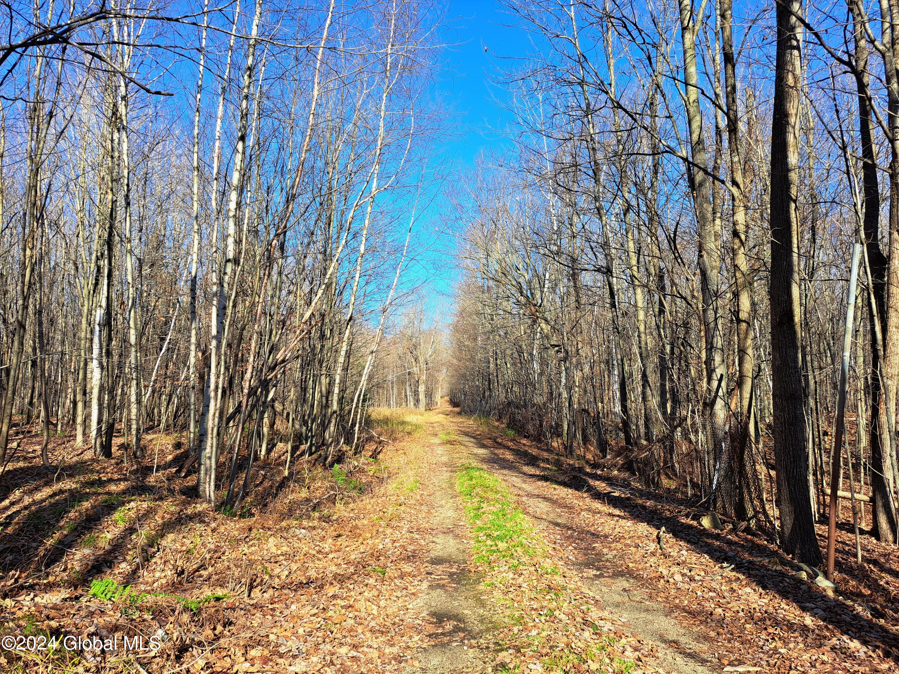 L1.4 Drown Road Ellenburg Depot, NY 12935 - Photo 47 of 89 48 Right of Way Road