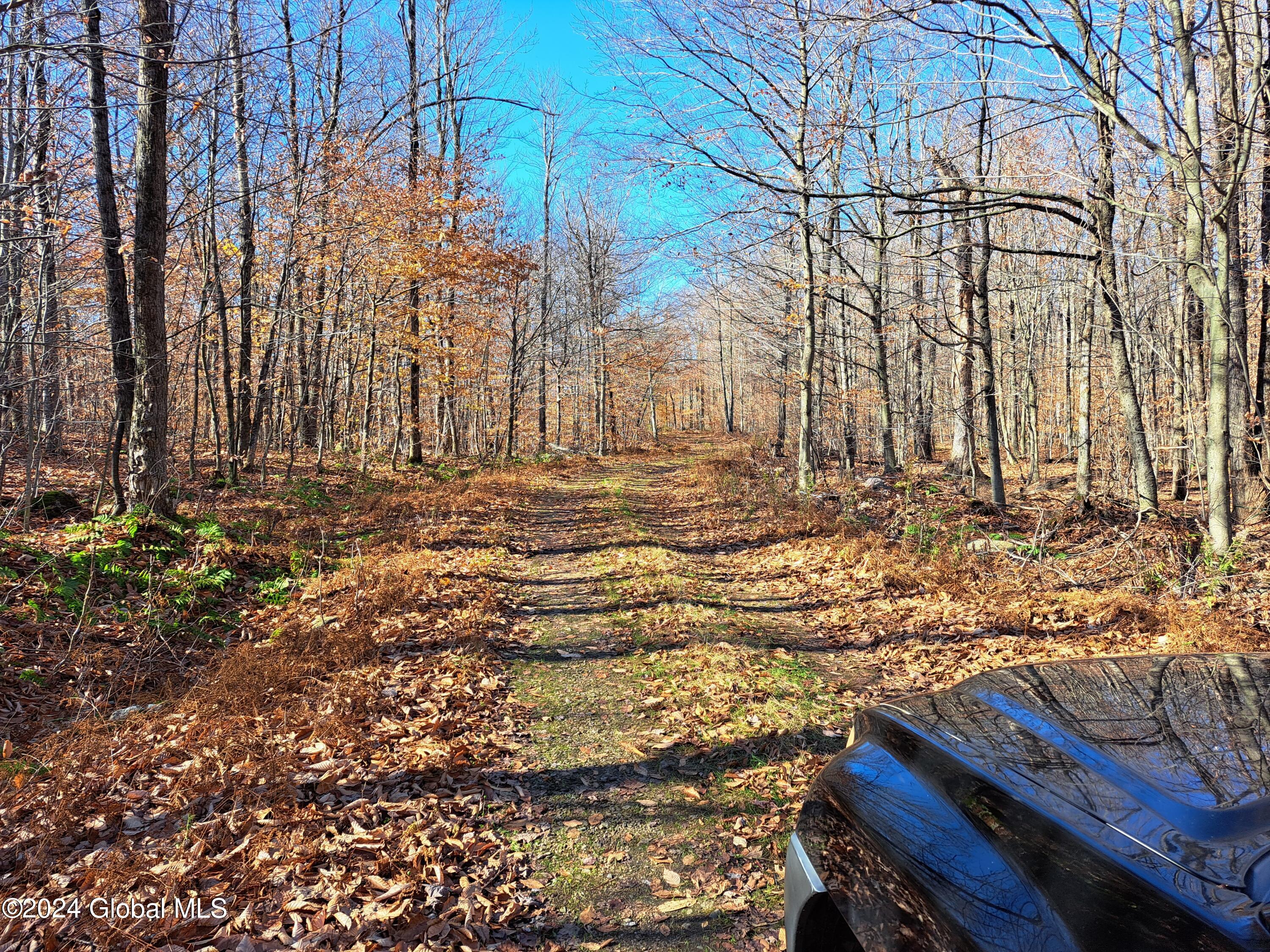 L1.4 Drown Road Ellenburg Depot, NY 12935 - Photo 49 of 89 50 Right of Way