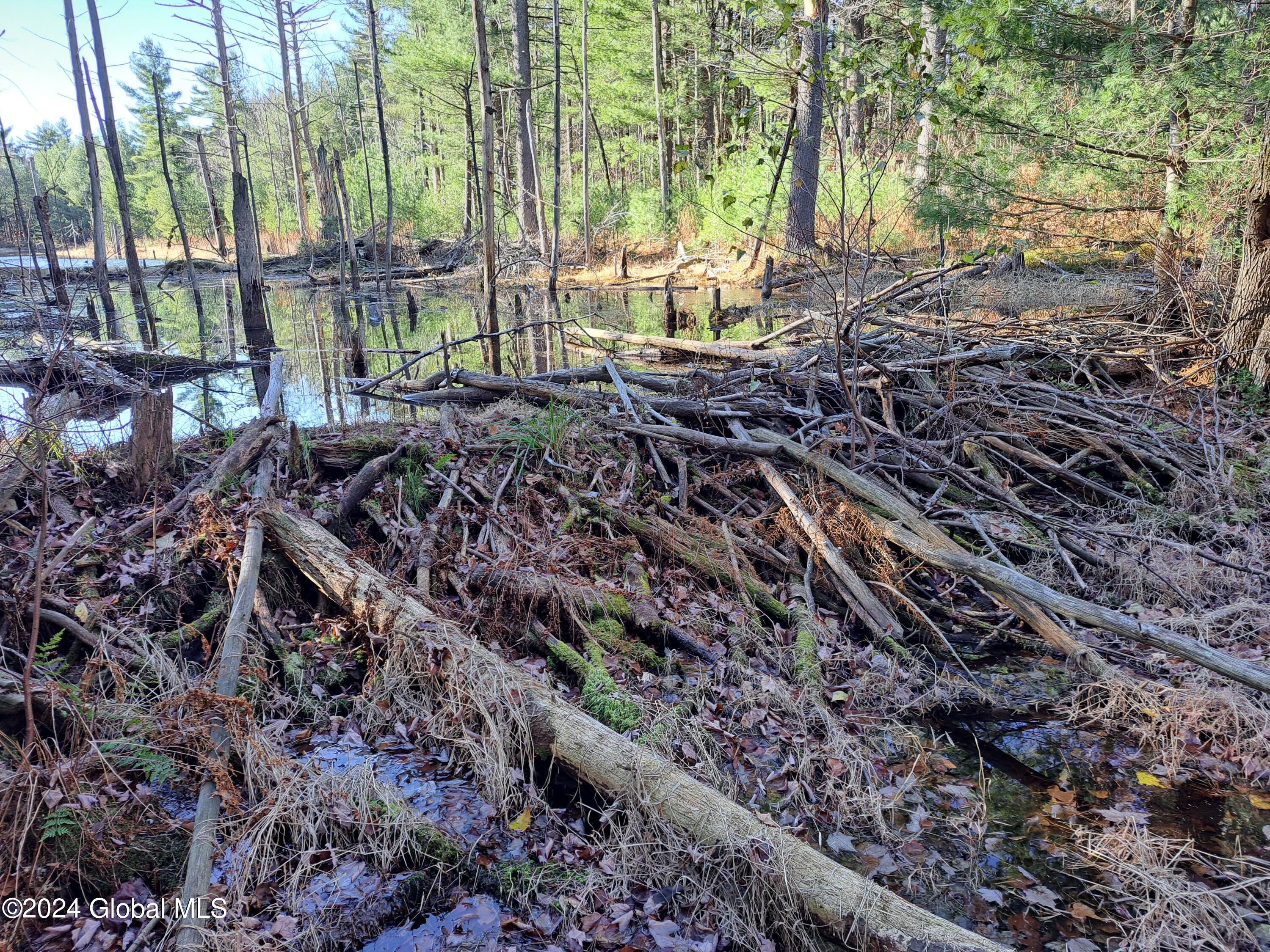 L1.4 Drown Road Ellenburg Depot, NY 12935 - Photo 51 of 89 52 Beaver dam on Pond