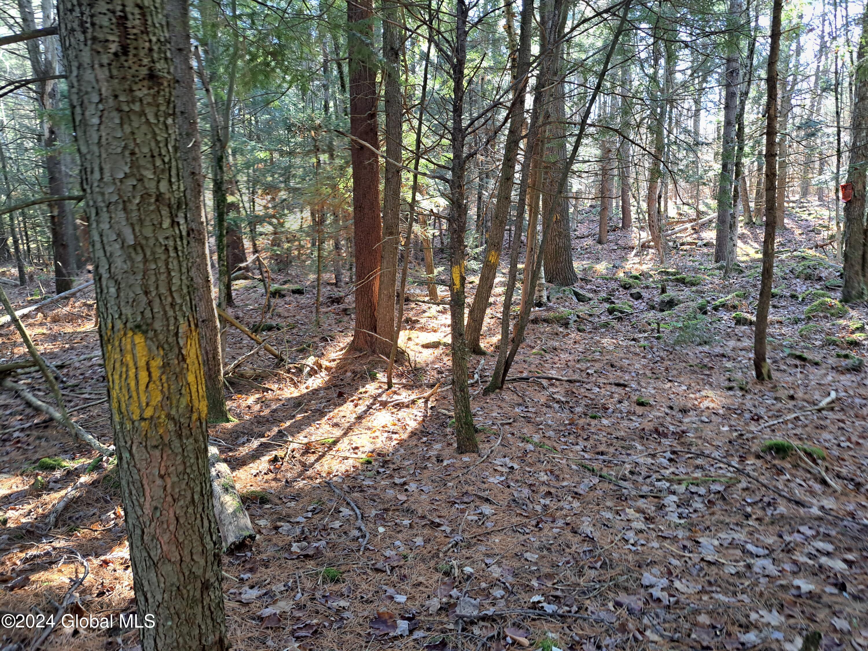 L1.4 Drown Road Ellenburg Depot, NY 12935 - Photo 54 of 89 55 Yellow-Marked State Line on East