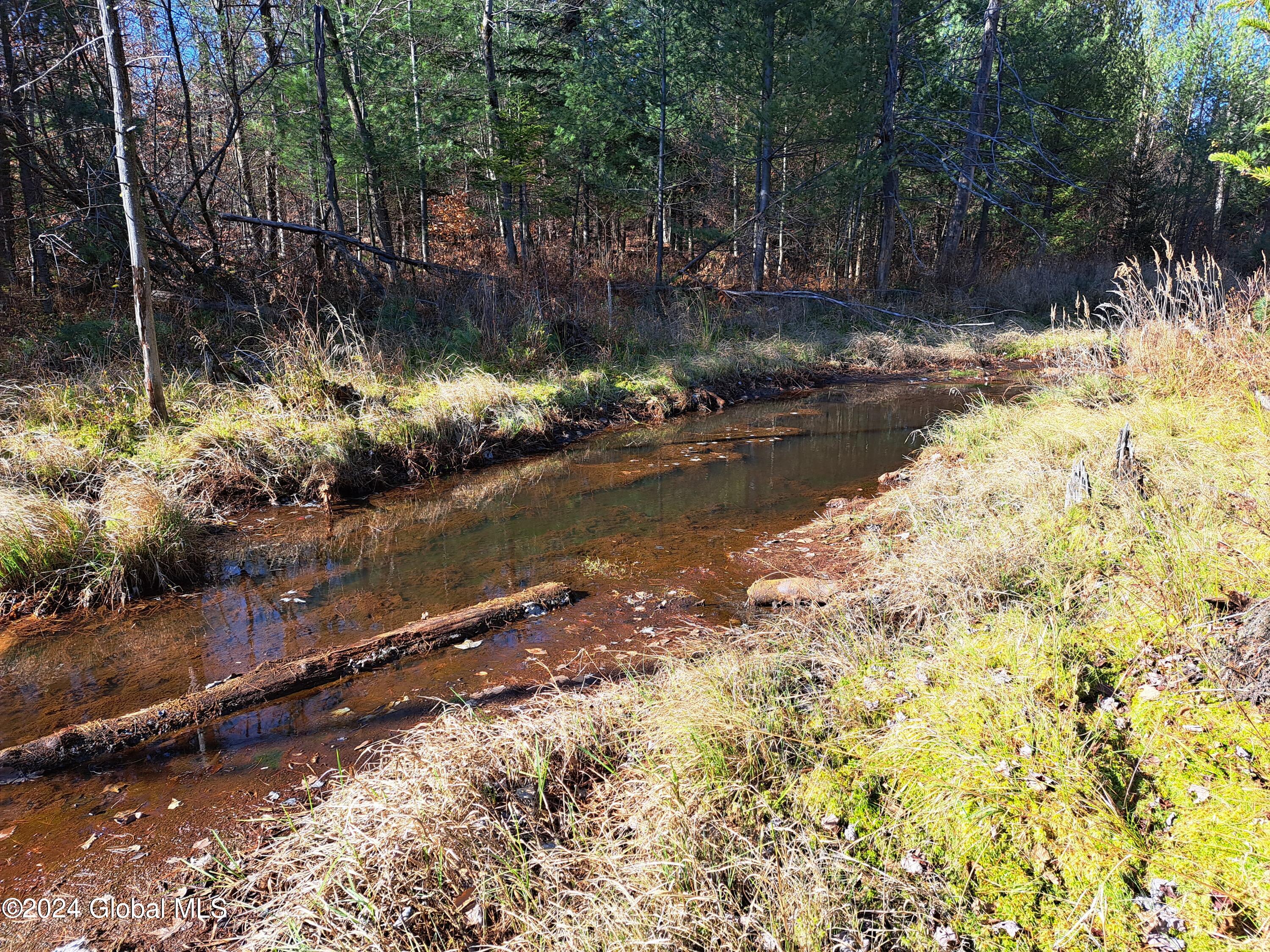 L1.4 Drown Road Ellenburg Depot, NY 12935 - Photo 57 of 89 58 Lazy Stream from Beaver Pond