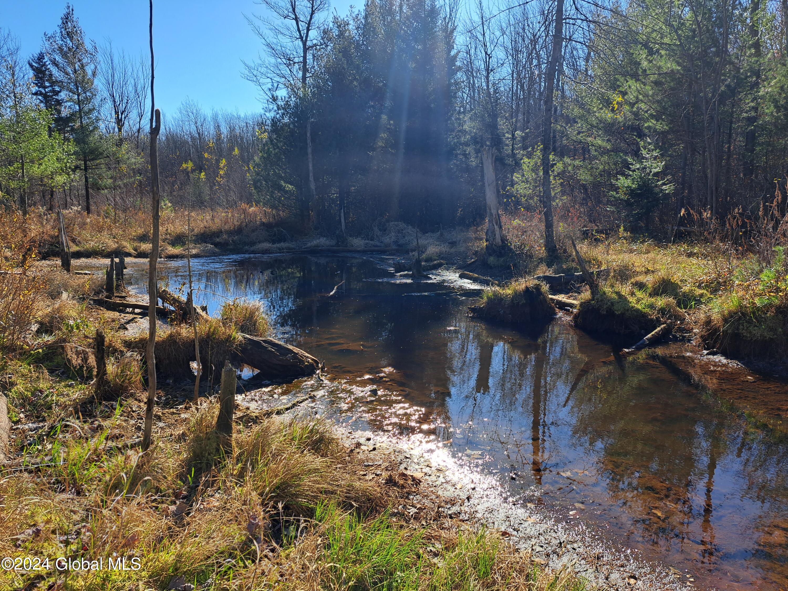 L1.4 Drown Road Ellenburg Depot, NY 12935 - Photo 58 of 89 59 Lazy Stream