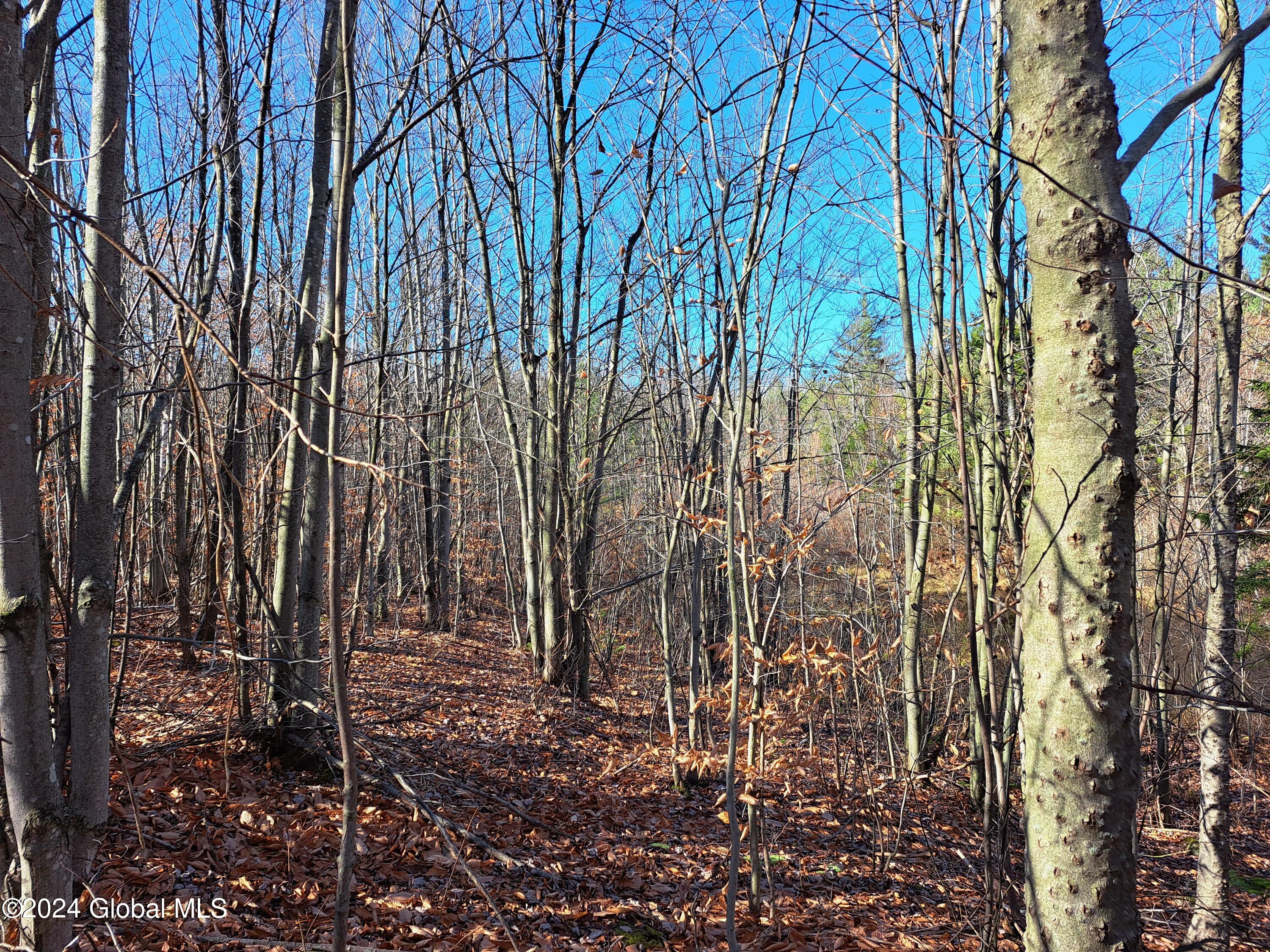 L1.4 Drown Road Ellenburg Depot, NY 12935 - Photo 61 of 89 62 Grouse Woods