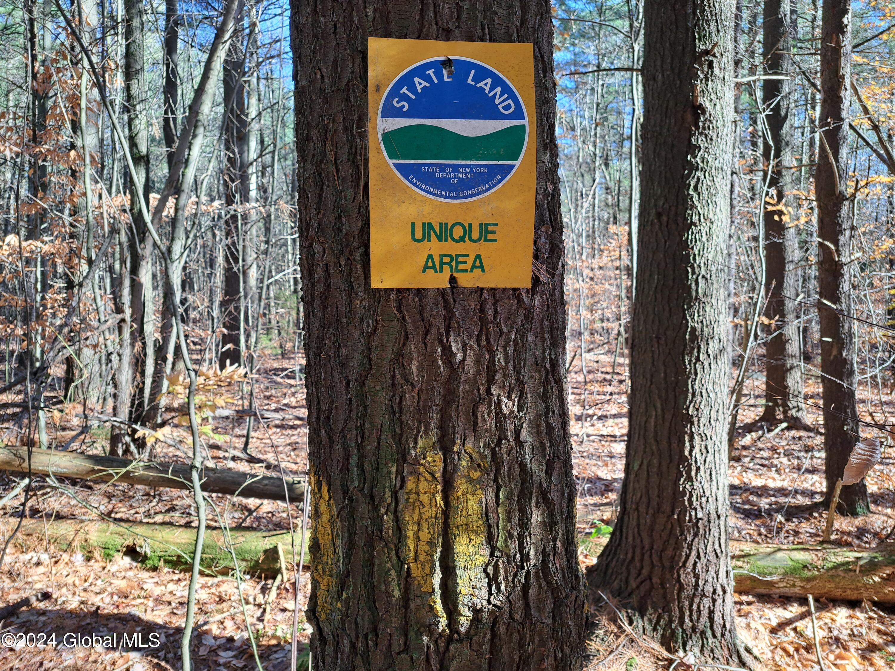 L1.4 Drown Road Ellenburg Depot, NY 12935 - Photo 62 of 89 63 State Land Marker