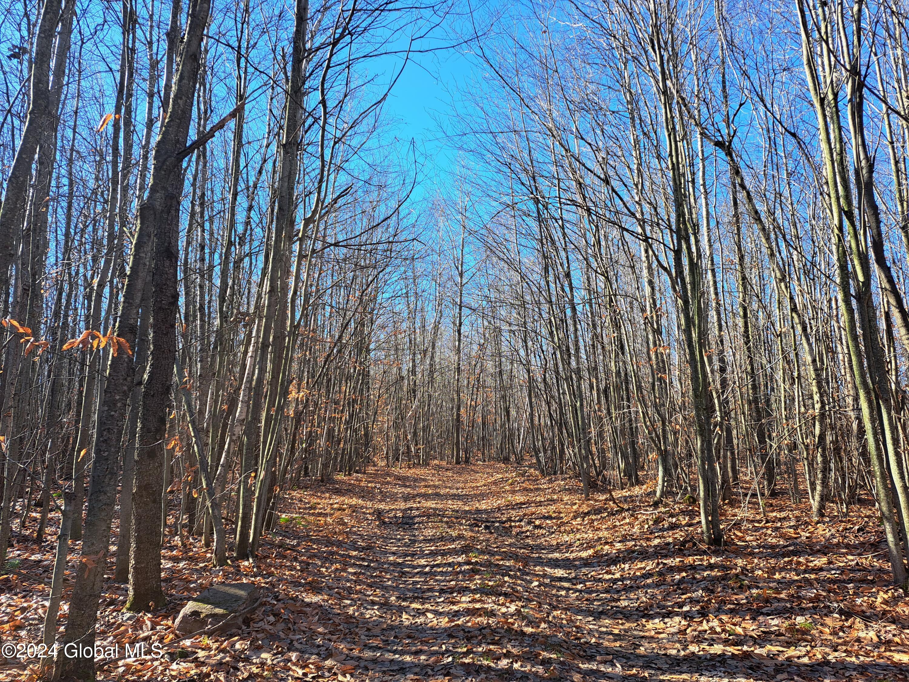 L1.4 Drown Road Ellenburg Depot, NY 12935 - Photo 63 of 89 64 Interior Road