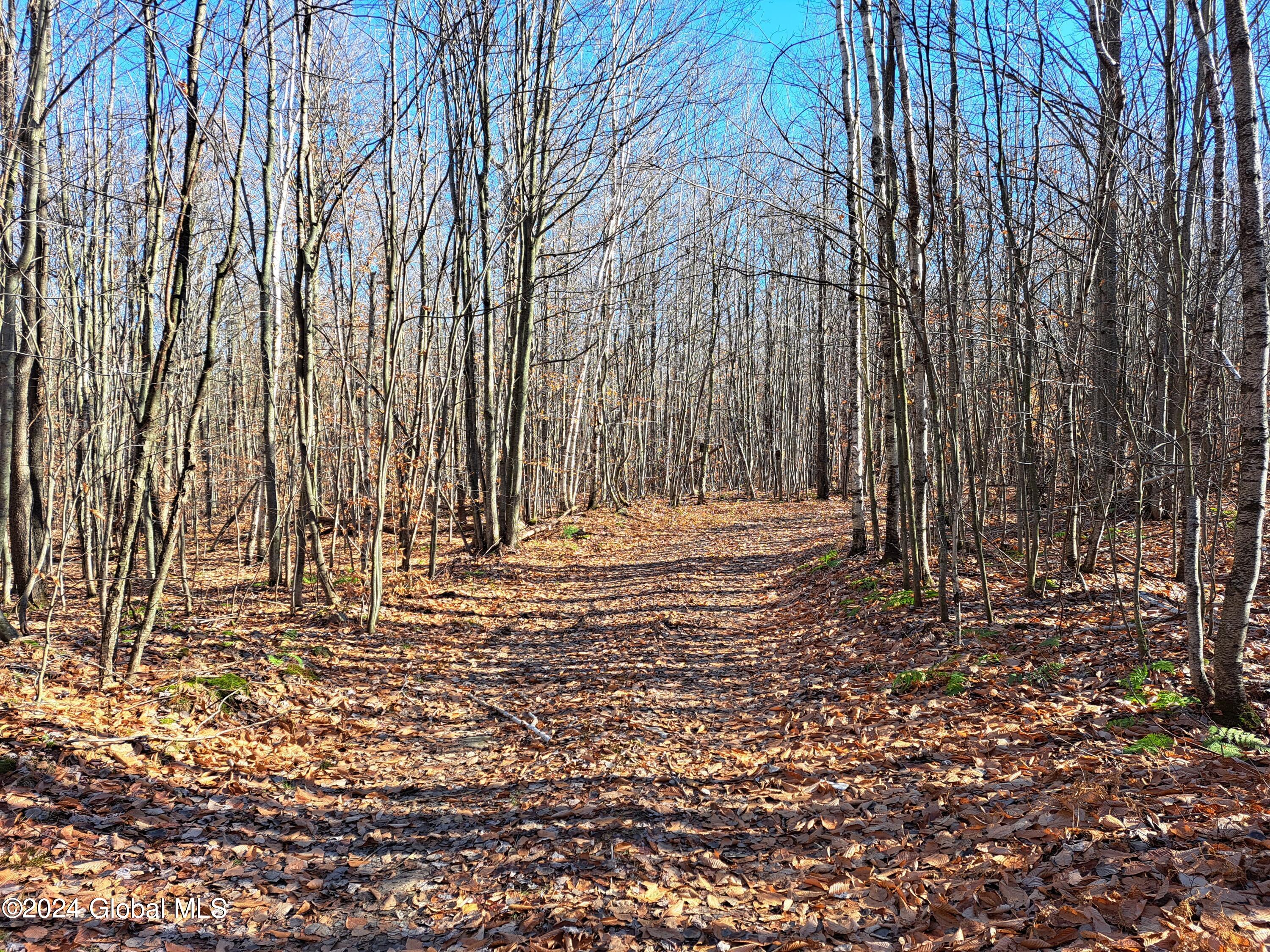 L1.4 Drown Road Ellenburg Depot, NY 12935 - Photo 64 of 89 65 Interior Road