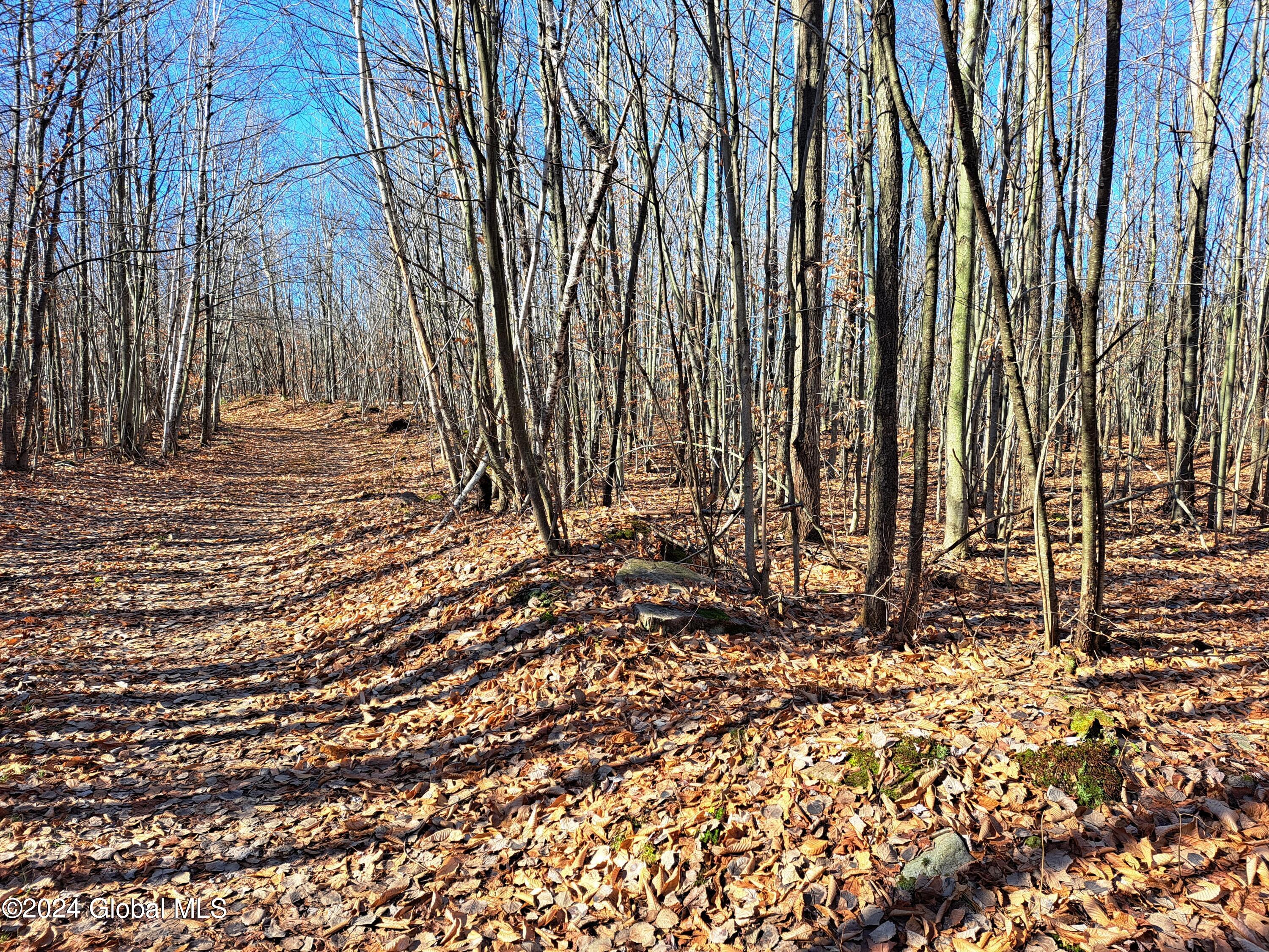 L1.4 Drown Road Ellenburg Depot, NY 12935 - Photo 65 of 89 66 Grouse Hunting Along Road