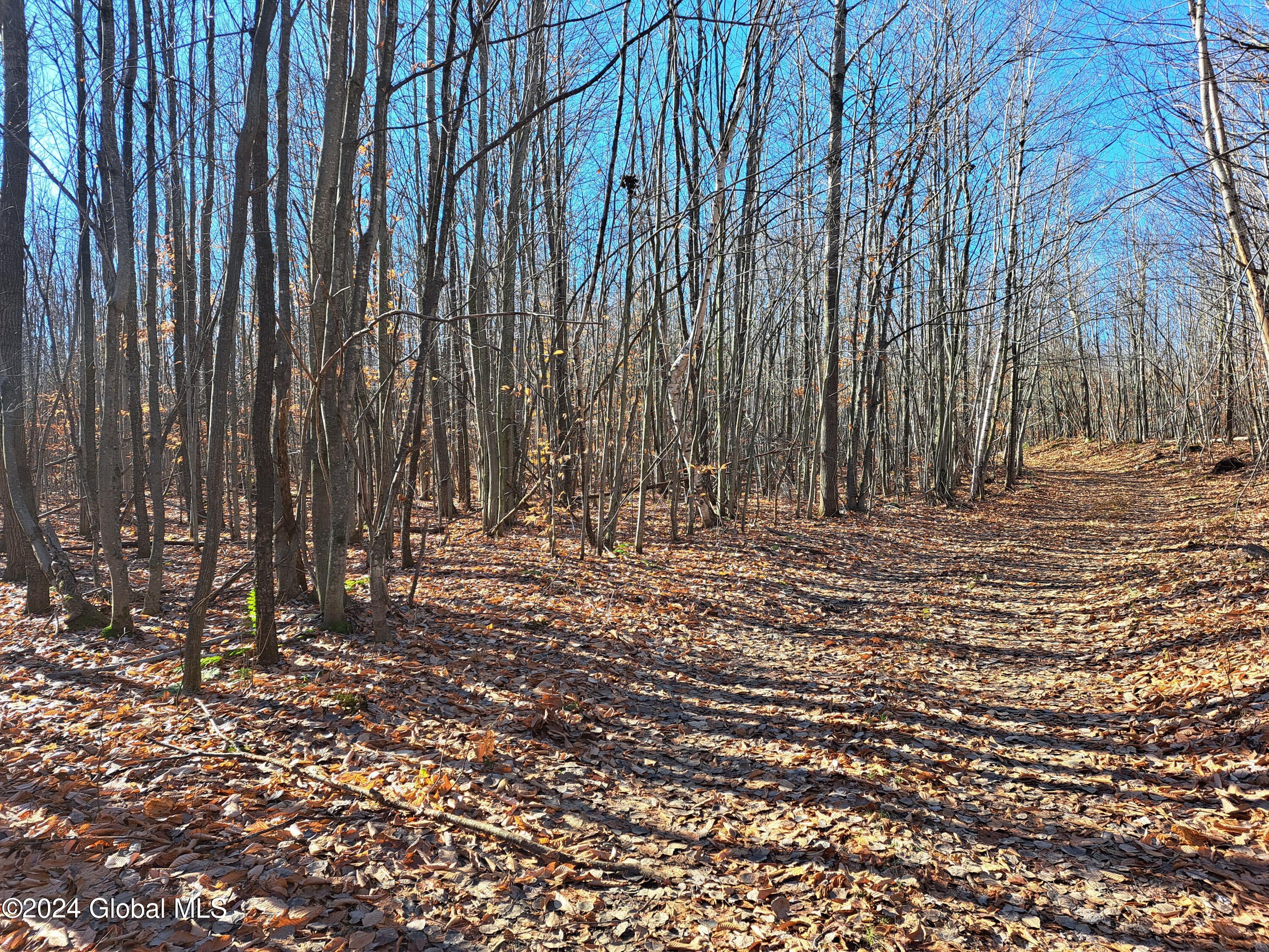 L1.4 Drown Road Ellenburg Depot, NY 12935 - Photo 66 of 89 67 Grouse Woods Along Road