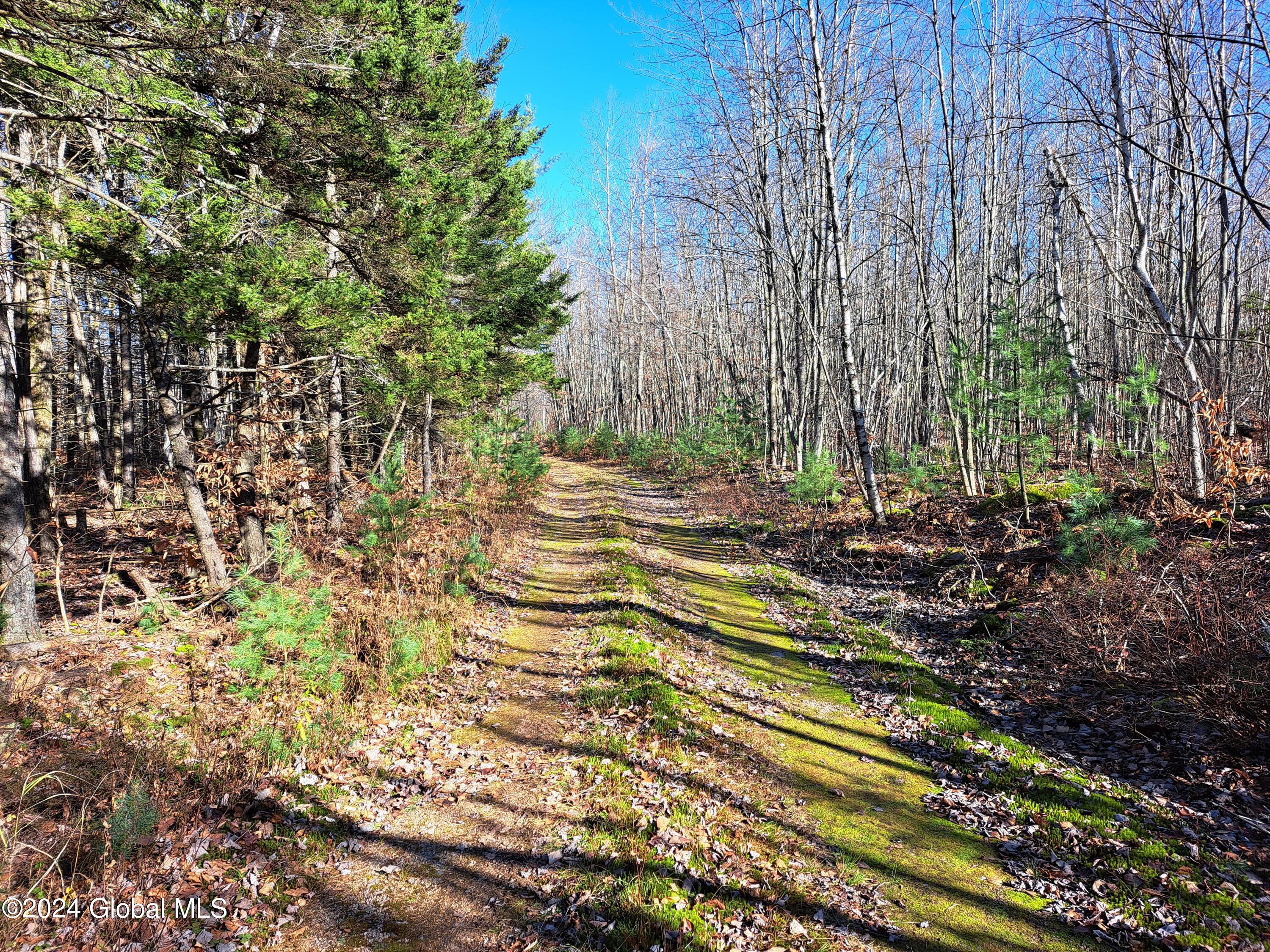 L1.4 Drown Road Ellenburg Depot, NY 12935 - Photo 67 of 89 68 Abundant and Varied Wildlife Cover