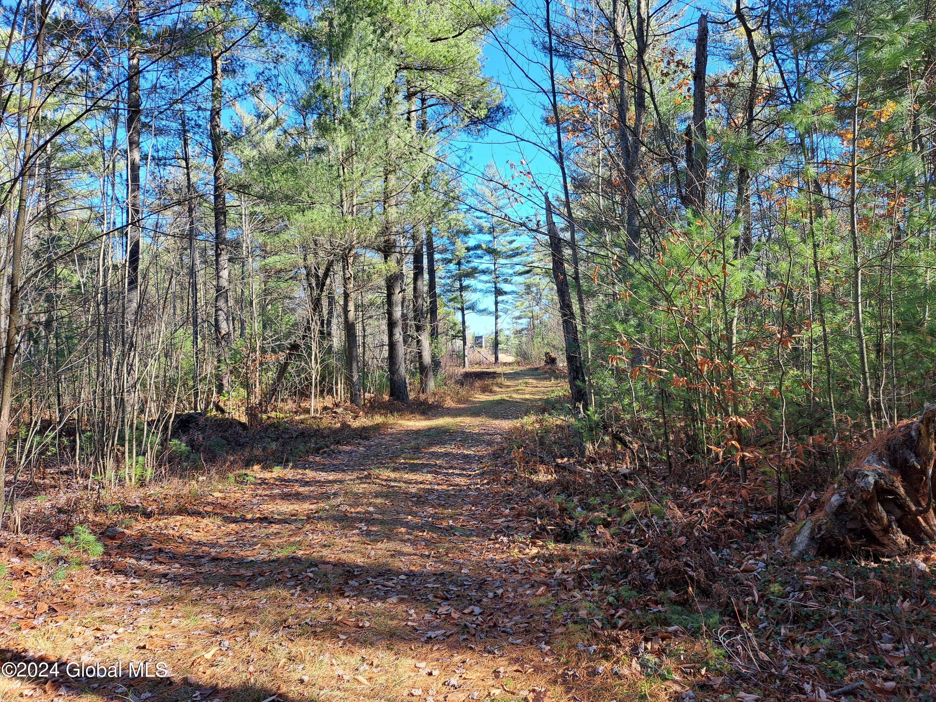 L1.4 Drown Road Ellenburg Depot, NY 12935 - Photo 69 of 89 70 Well-Maintained Woods Road