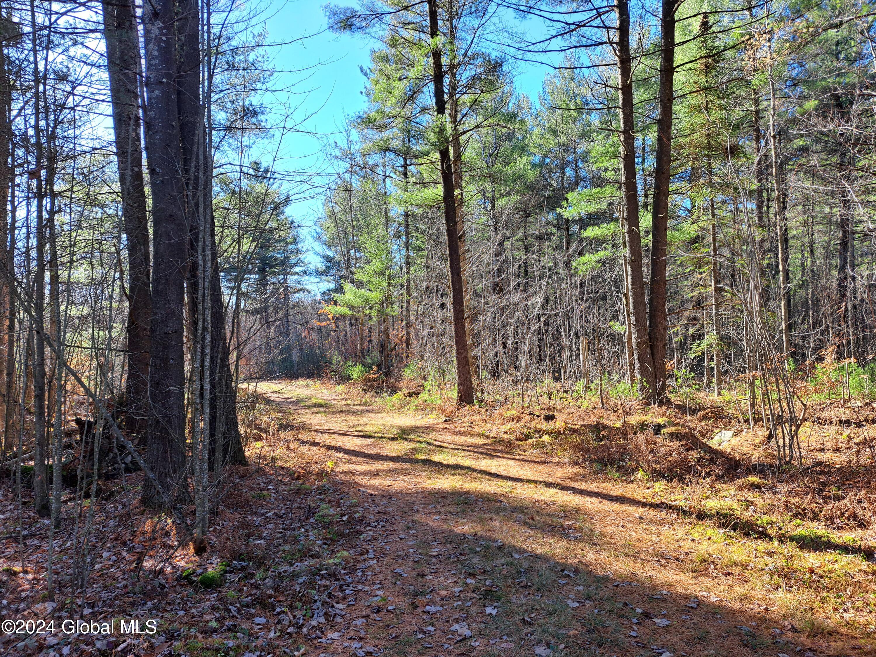 L1.4 Drown Road Ellenburg Depot, NY 12935 - Photo 70 of 89 71 Woods road