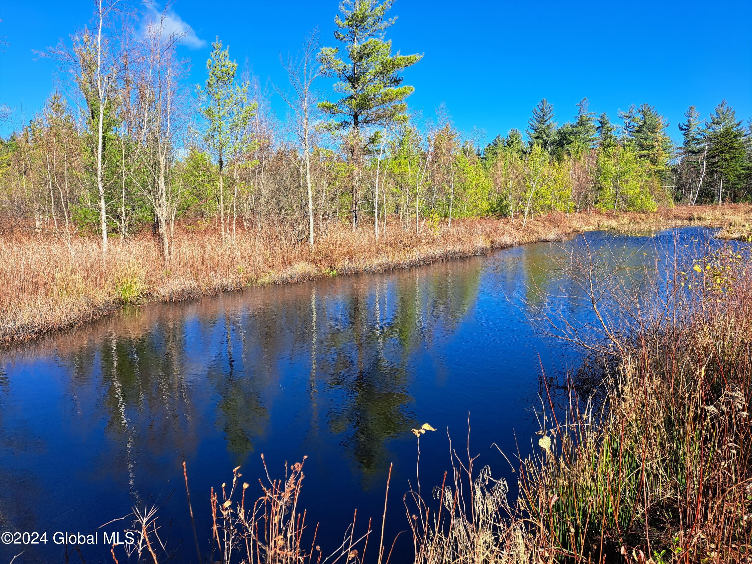 L1.4 Drown Road Ellenburg Depot, NY 12935 - Photo 71 of 89 72 Pond Near Shooting Blind