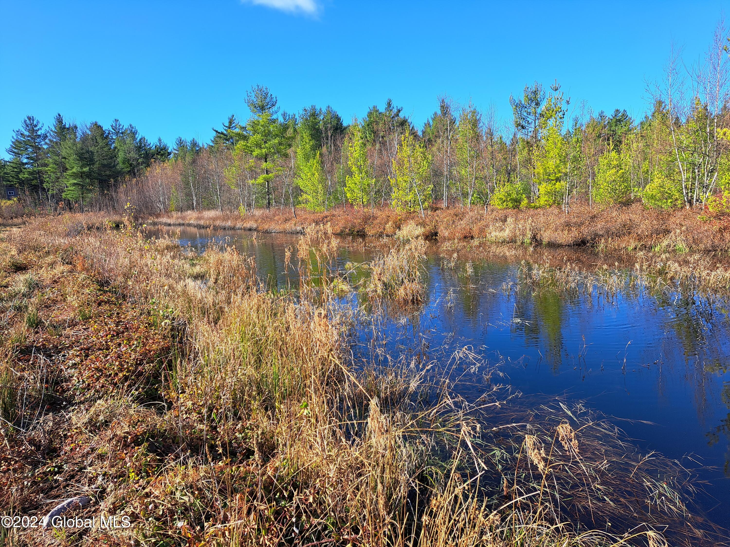 L1.4 Drown Road Ellenburg Depot, NY 12935 - Photo 72 of 89 73 Pond near Food Plot
