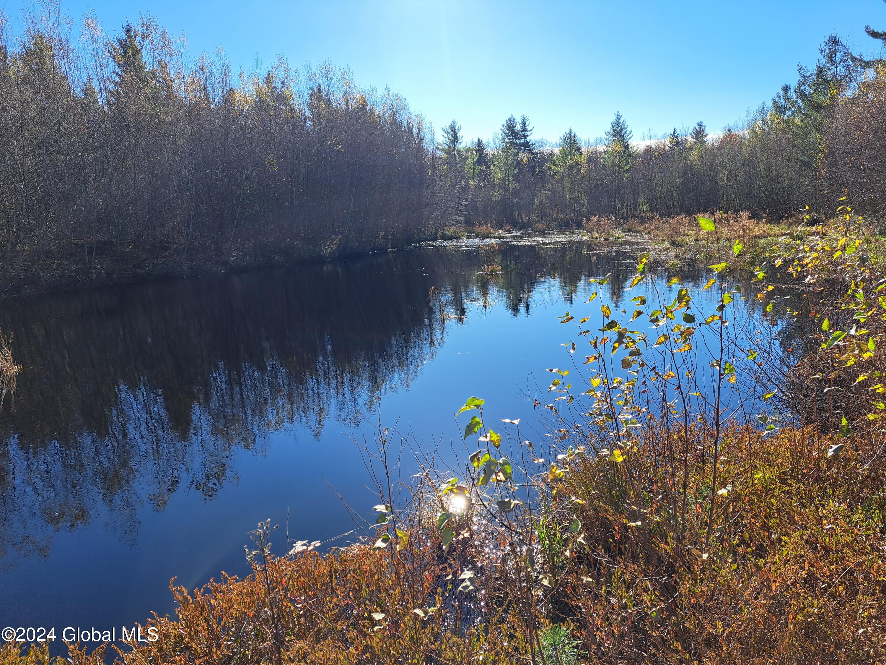 L1.4 Drown Road Ellenburg Depot, NY 12935 - Photo 73 of 89 74 Ponds at Shooting Blind