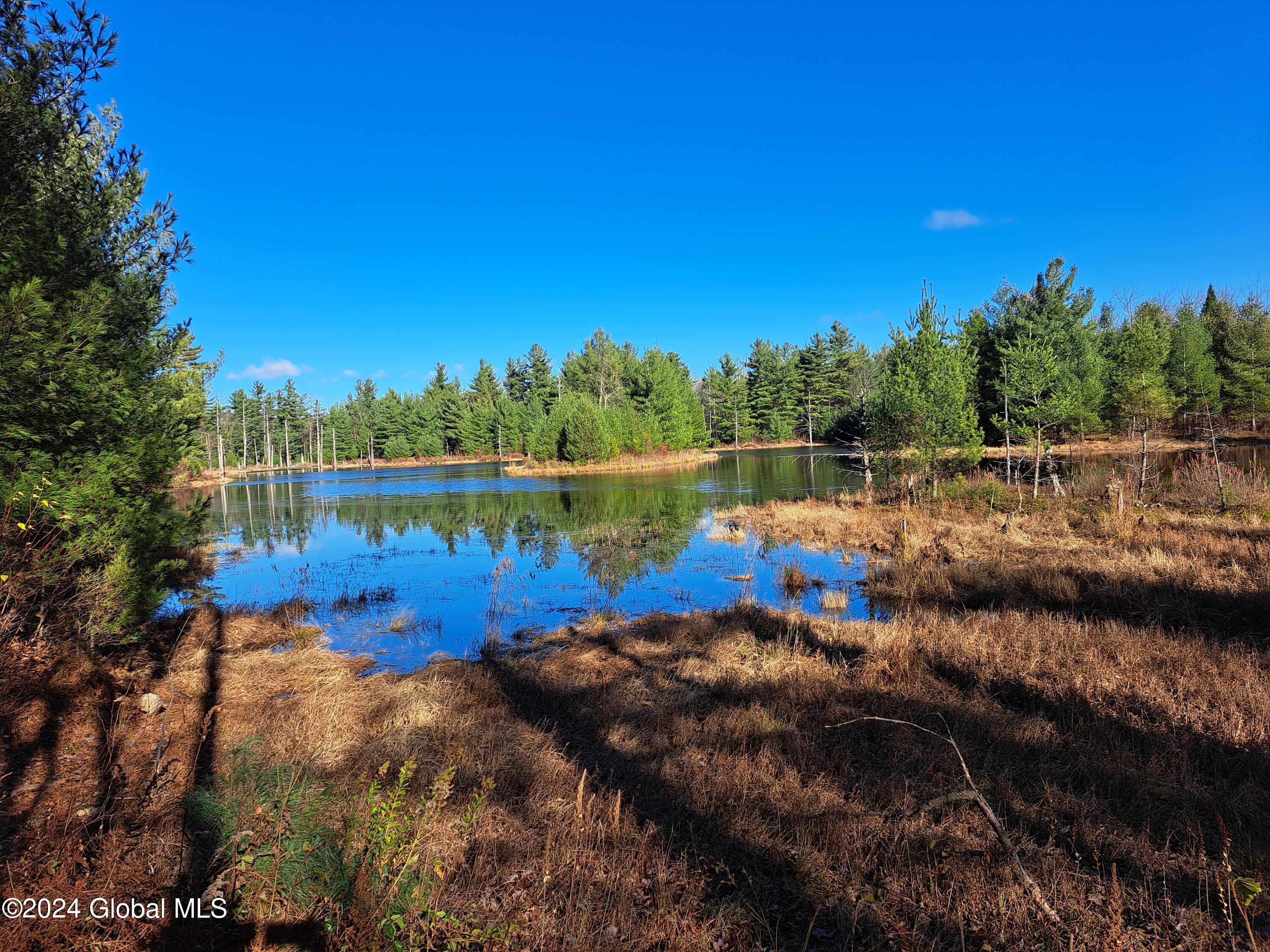L1.4 Drown Road Ellenburg Depot, NY 12935 - Photo 74 of 89 75 Beaver Pond and Island