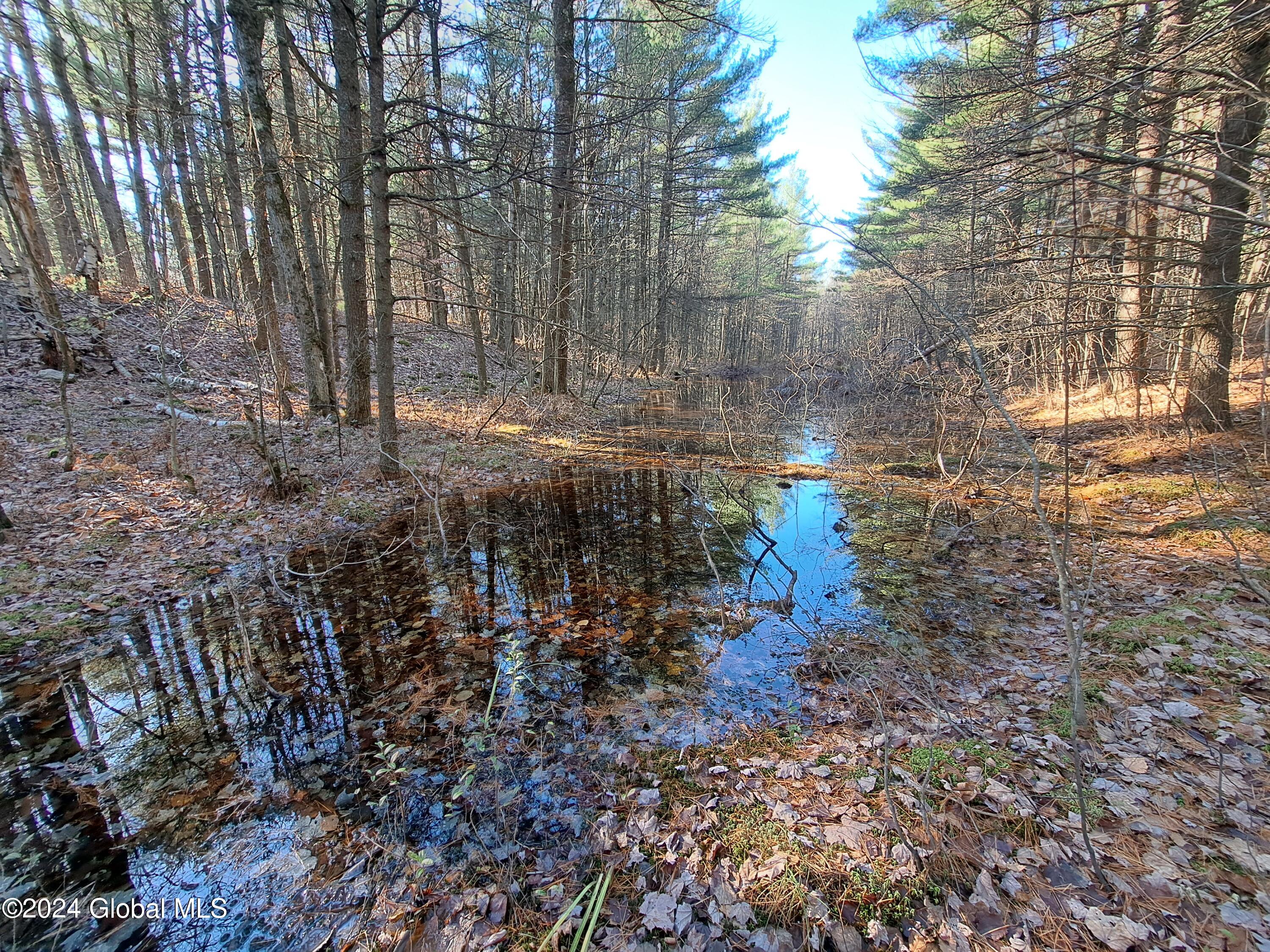L1.4 Drown Road Ellenburg Depot, NY 12935 - Photo 78 of 89 79 Seasonal Woodland Pond