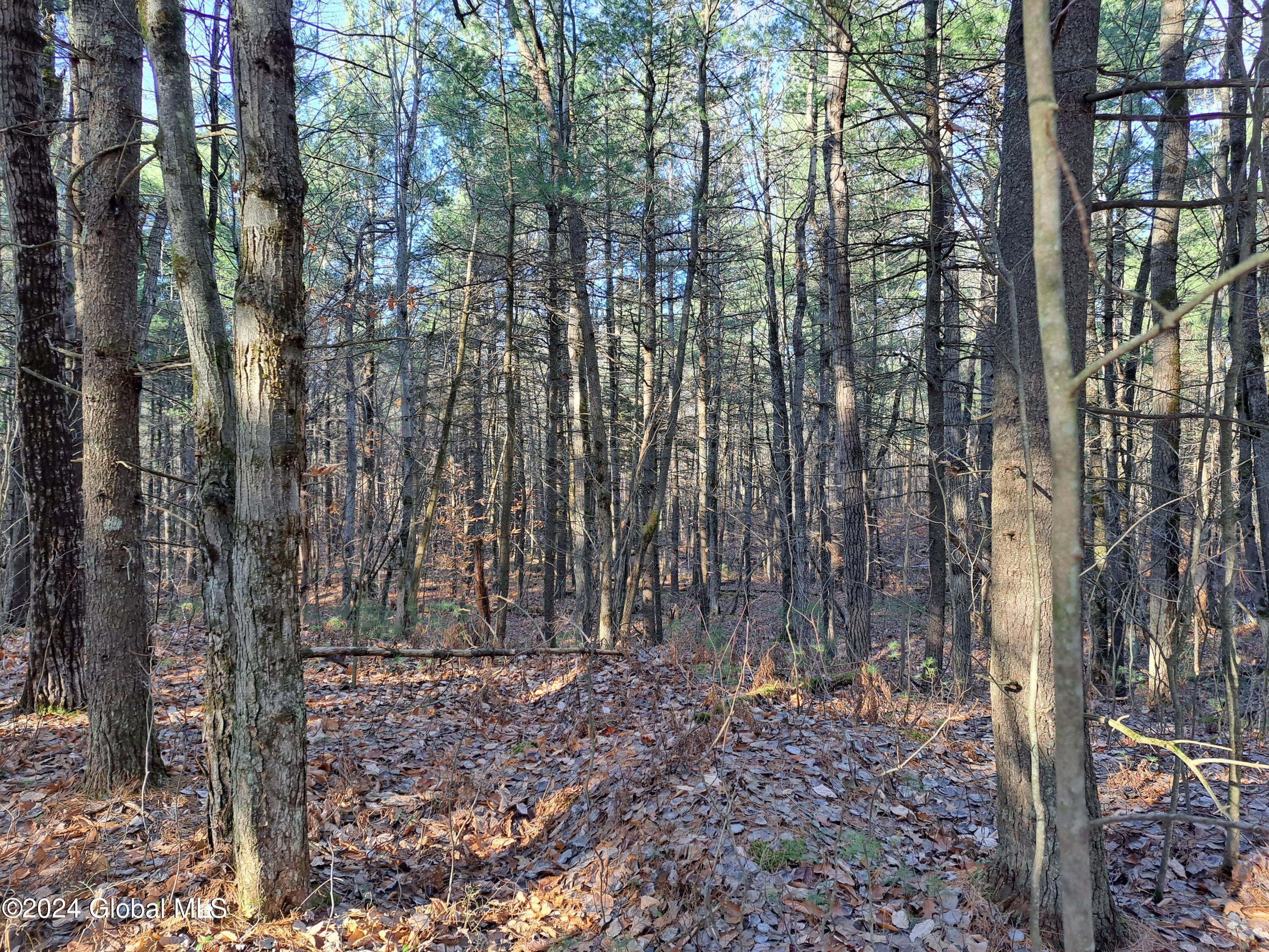 L1.4 Drown Road Ellenburg Depot, NY 12935 - Photo 80 of 89 81 Mature Forest