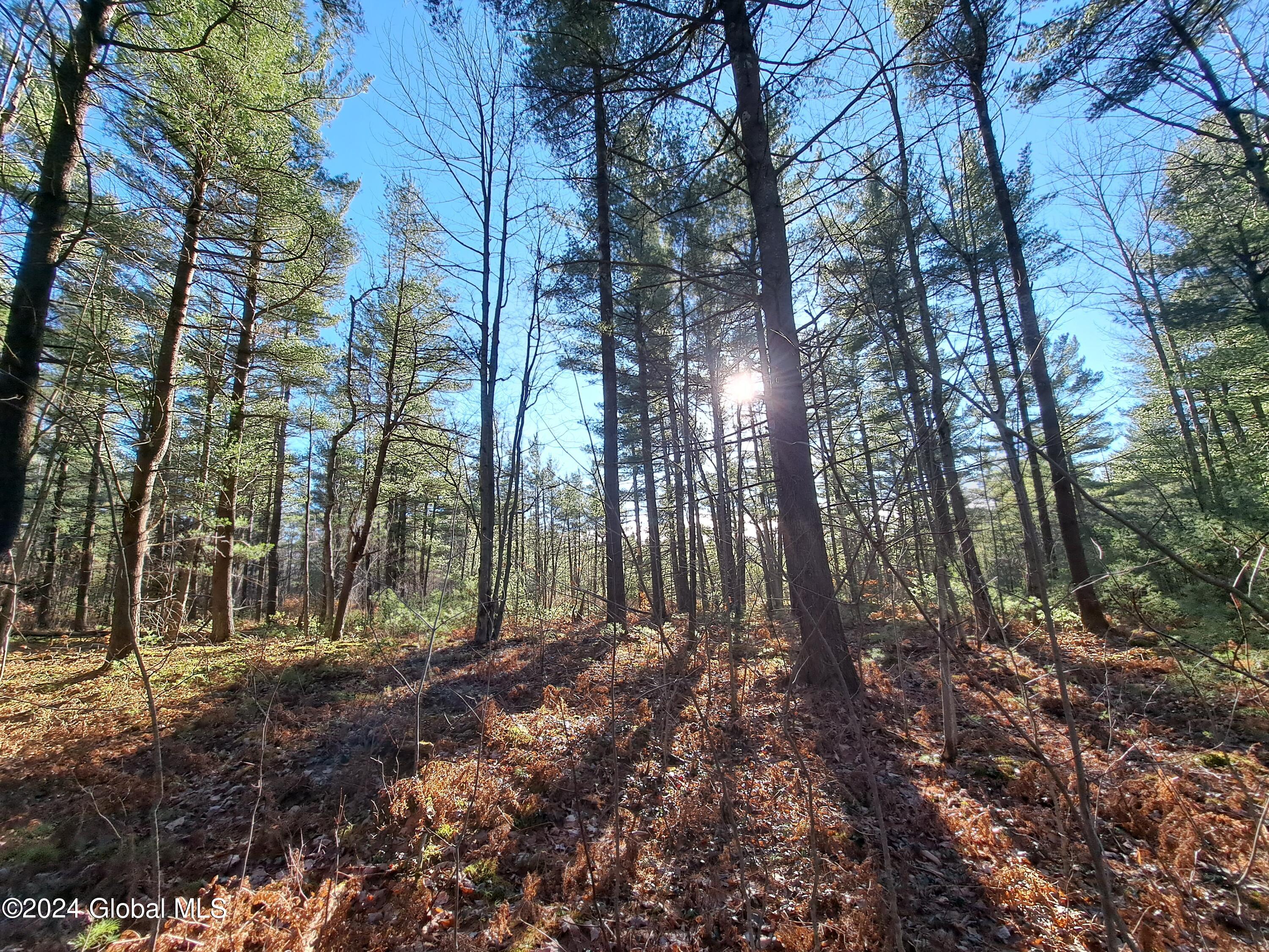 L1.4 Drown Road Ellenburg Depot, NY 12935 - Photo 81 of 89 82 Rolling, Gentle Terrain