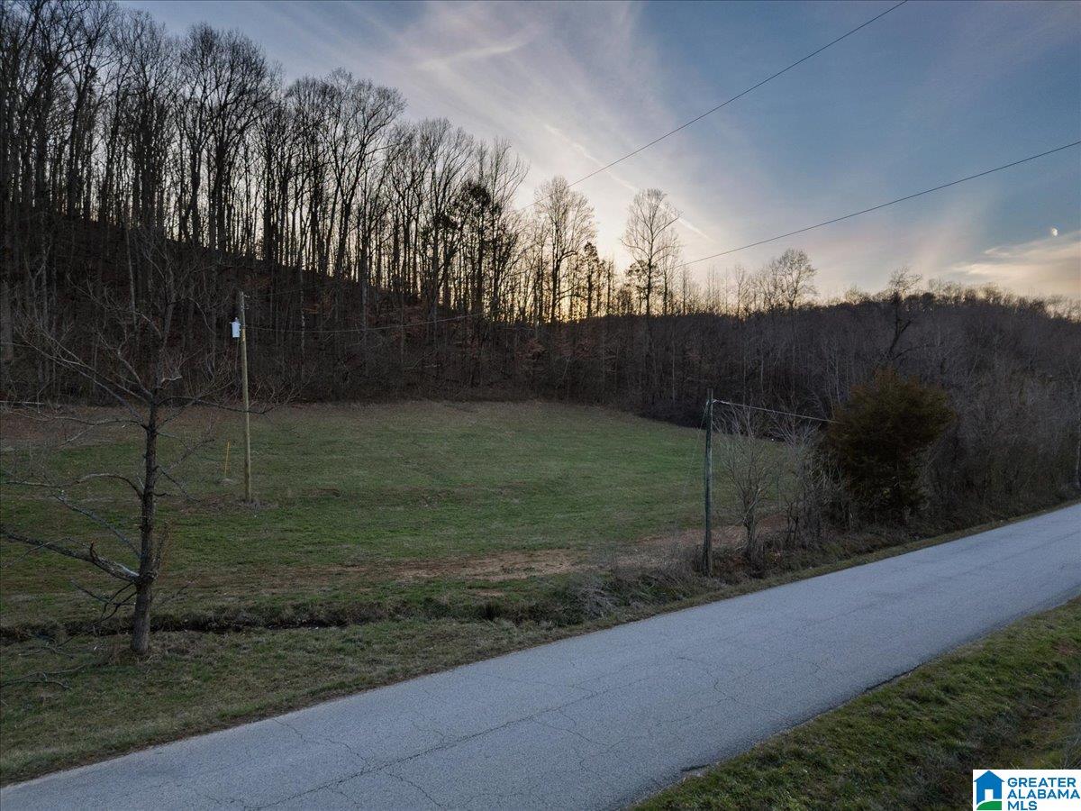 0 Rocky Hollow Road, Unit 10 Guntersville, AL 35976 - Photo 5 of 11