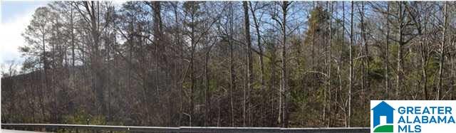 2850 Rocky Ridge Road, Unit 1 Birmingham, AL 35216 - Photo 1 of 1