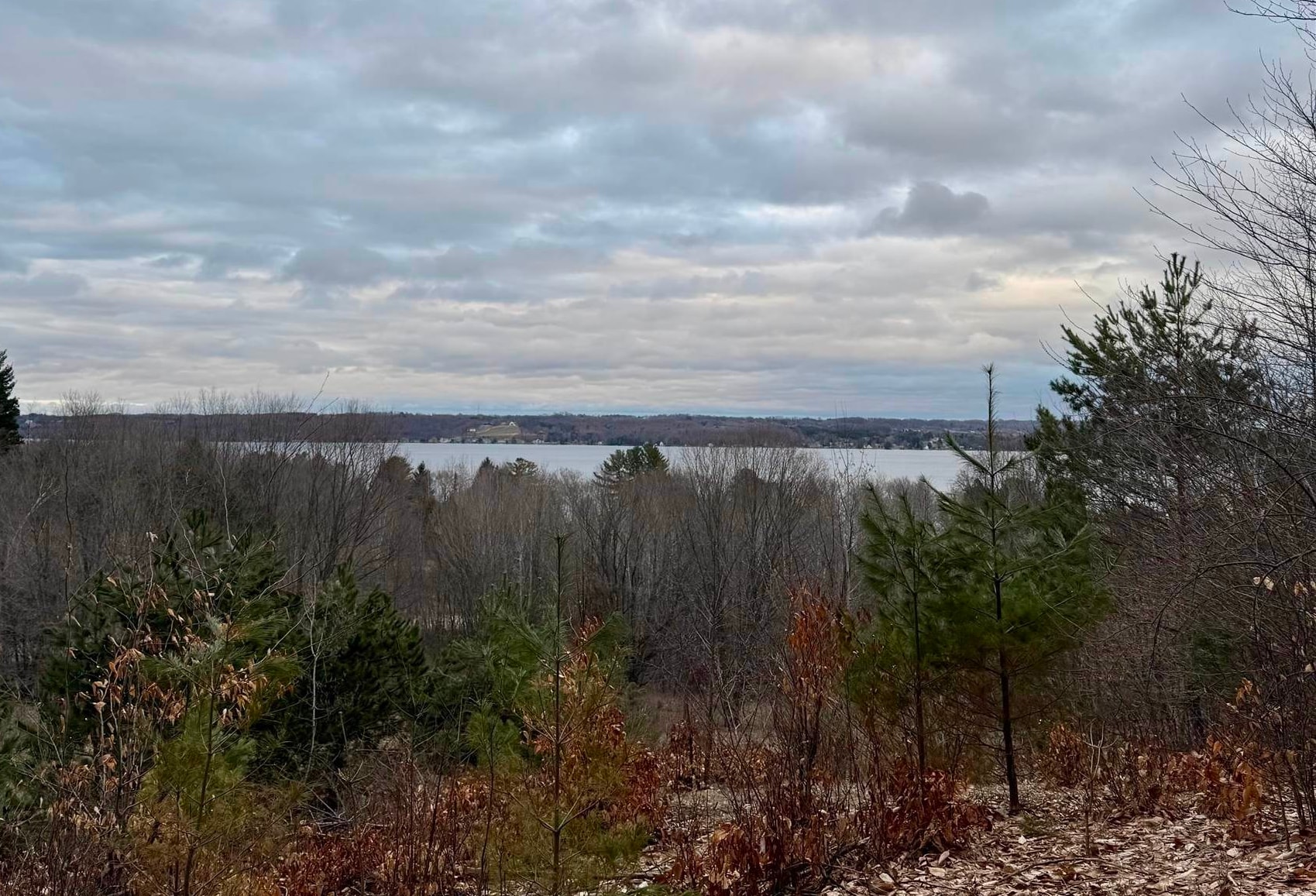 0 East Hidden Beach Road Cedar, MI 49621 - Photo 7 of 10