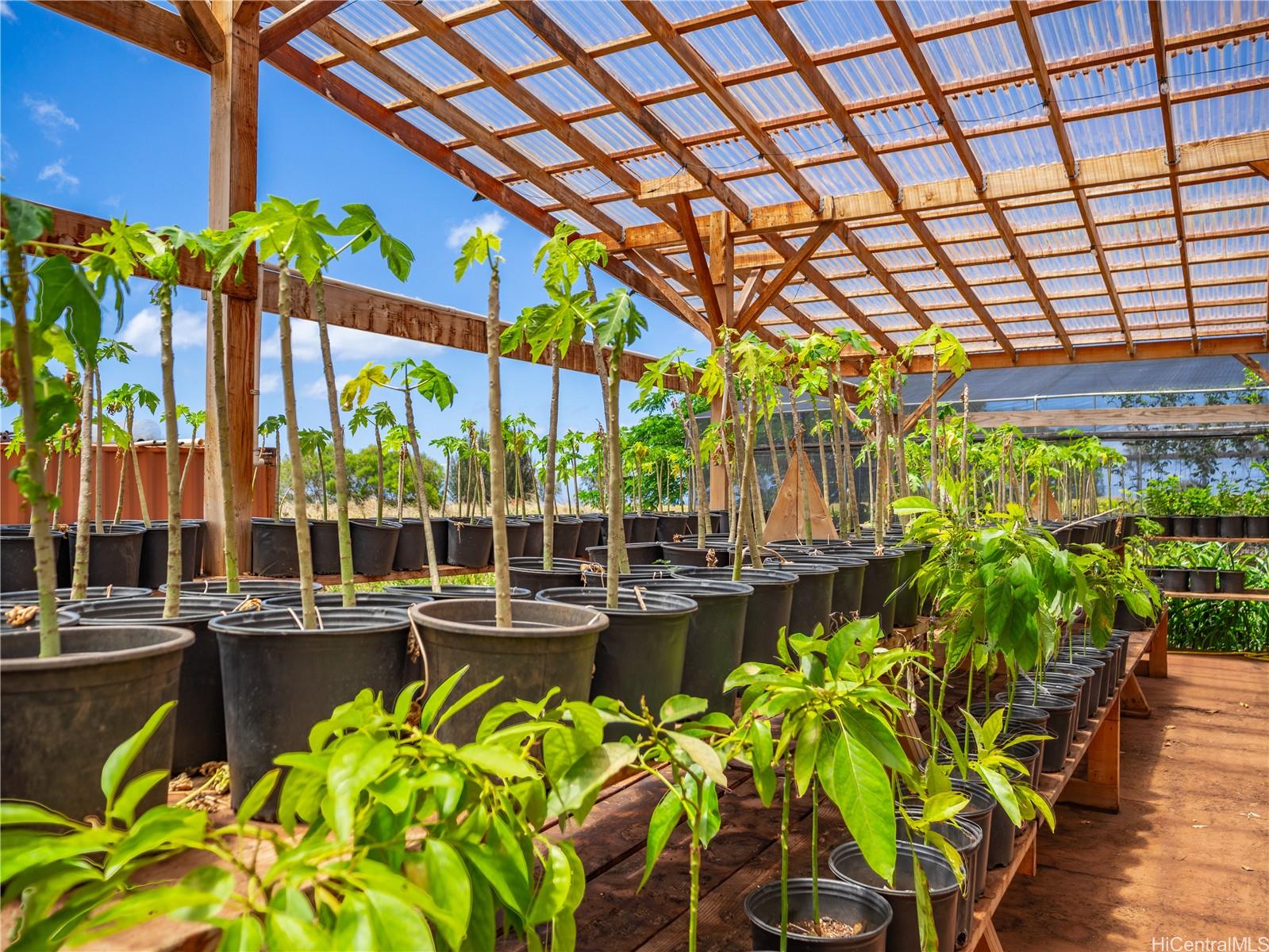 65-283 Kaukonahua Road, Unit 21 Wahiawa, HI 96786 - Photo 15 of 25 a view of a swimming pool with a patio